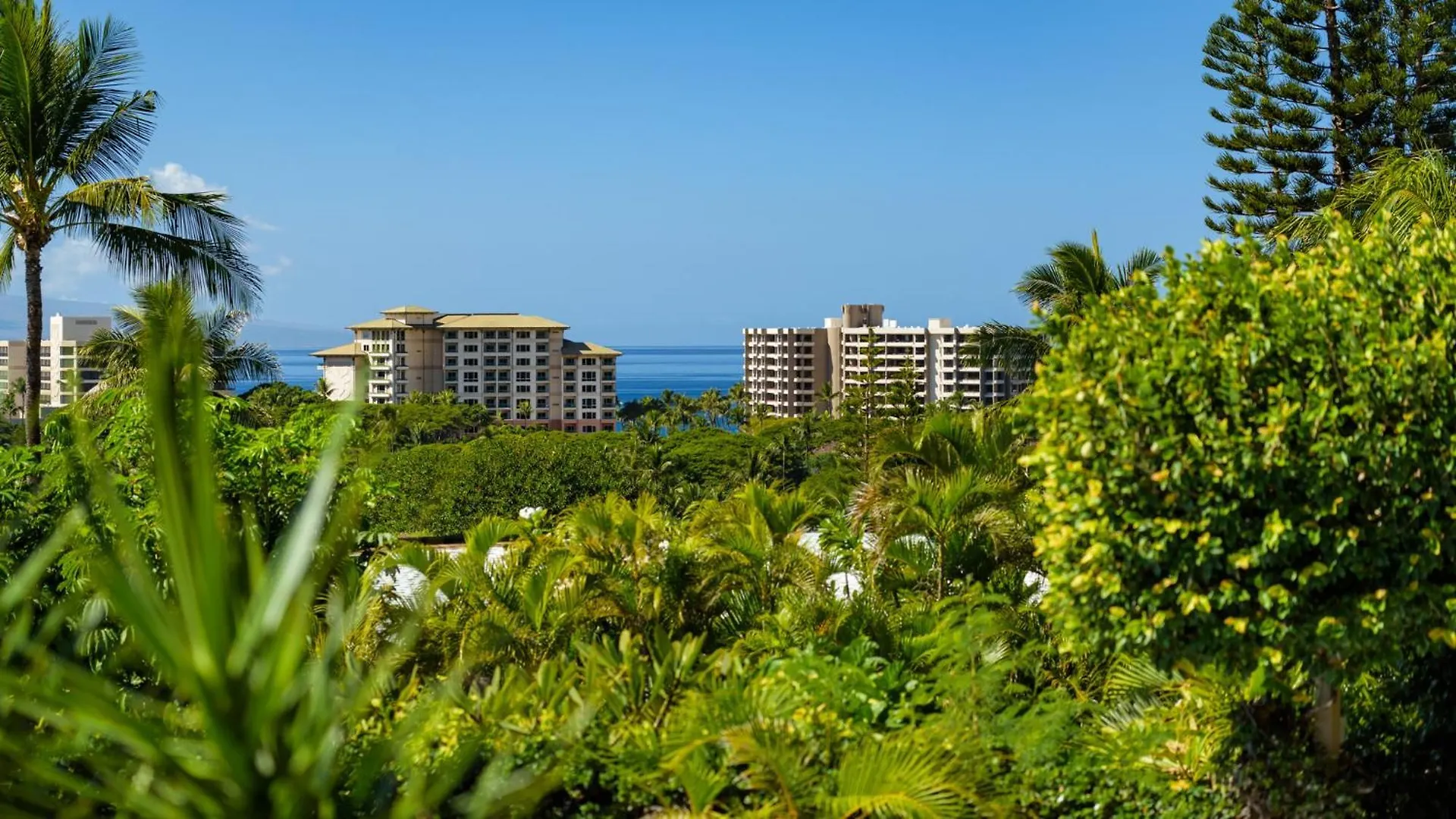 Summit At Kaanapali Vista-5b-5,5b Pool-ocean View Holiday home