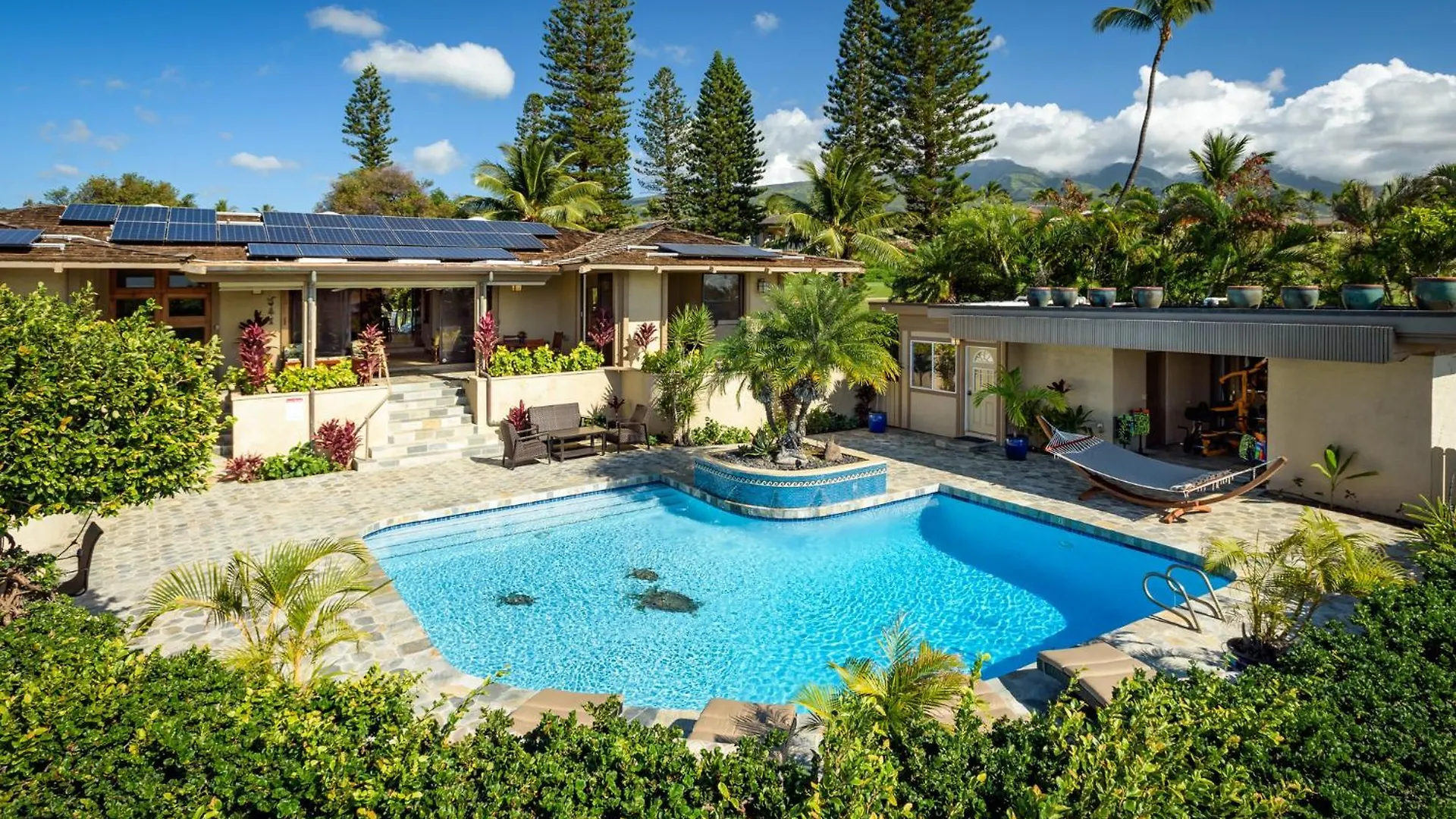 Summit At Kaanapali Vista-5b-5,5b Pool-ocean View Holiday home