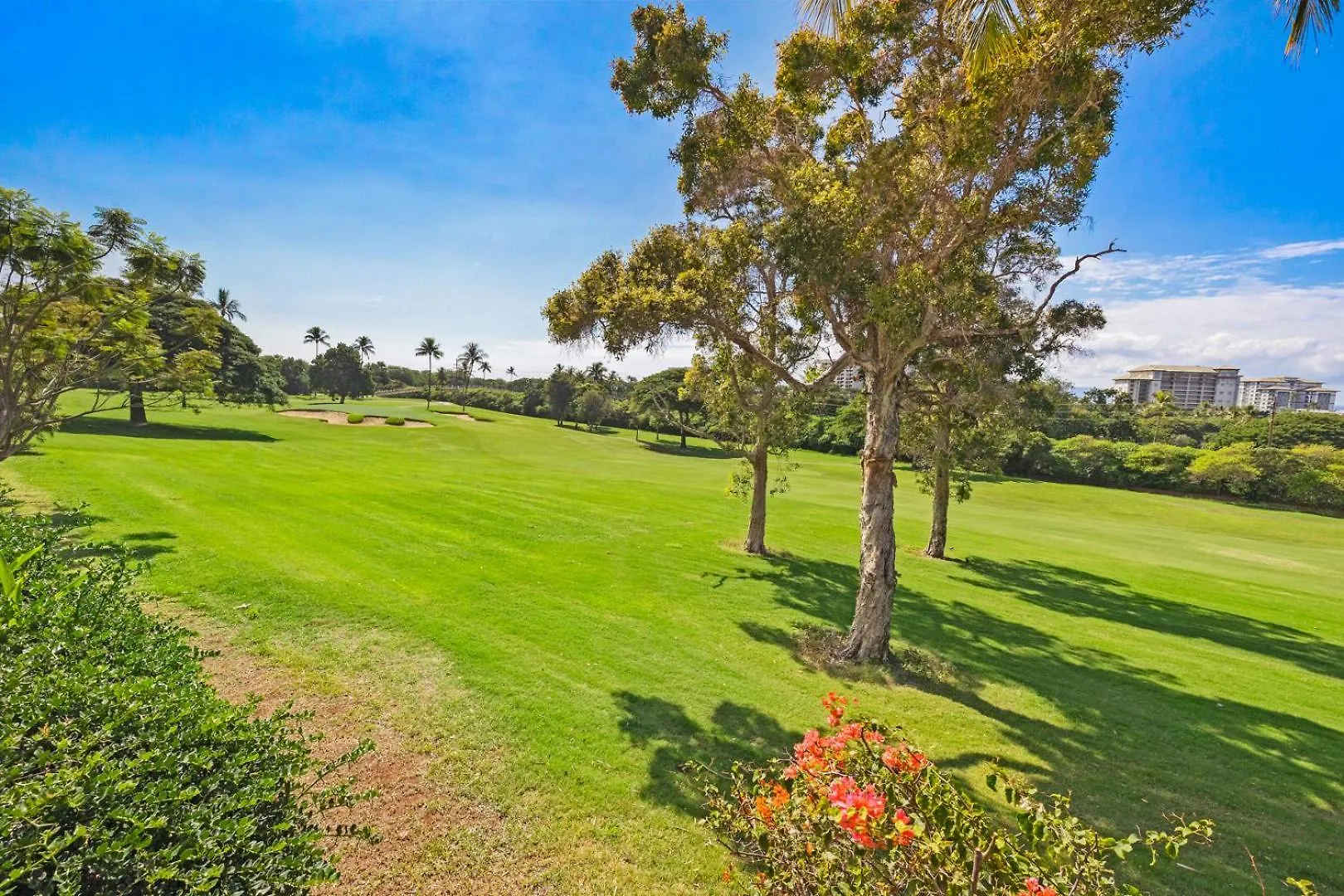 Hale Holokai At Kaanapali Vista-luxury Golf Course Ocean View 6 Bedroom 3 Bathroom- Holiday home *