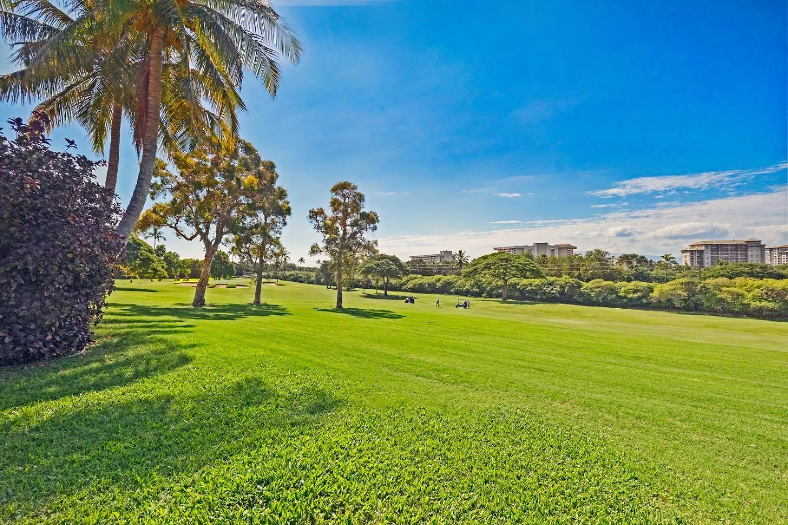 Hale Holokai At Kaanapali Vista-luxury Golf Course Ocean View 6 Bedroom 3 Bathroom- Holiday home *