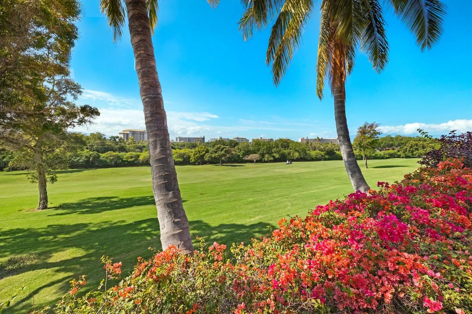 Holiday home Hale Holokai At Kaanapali Vista-luxury Golf Course Ocean View 6 Bedroom 3 Bathroom- *