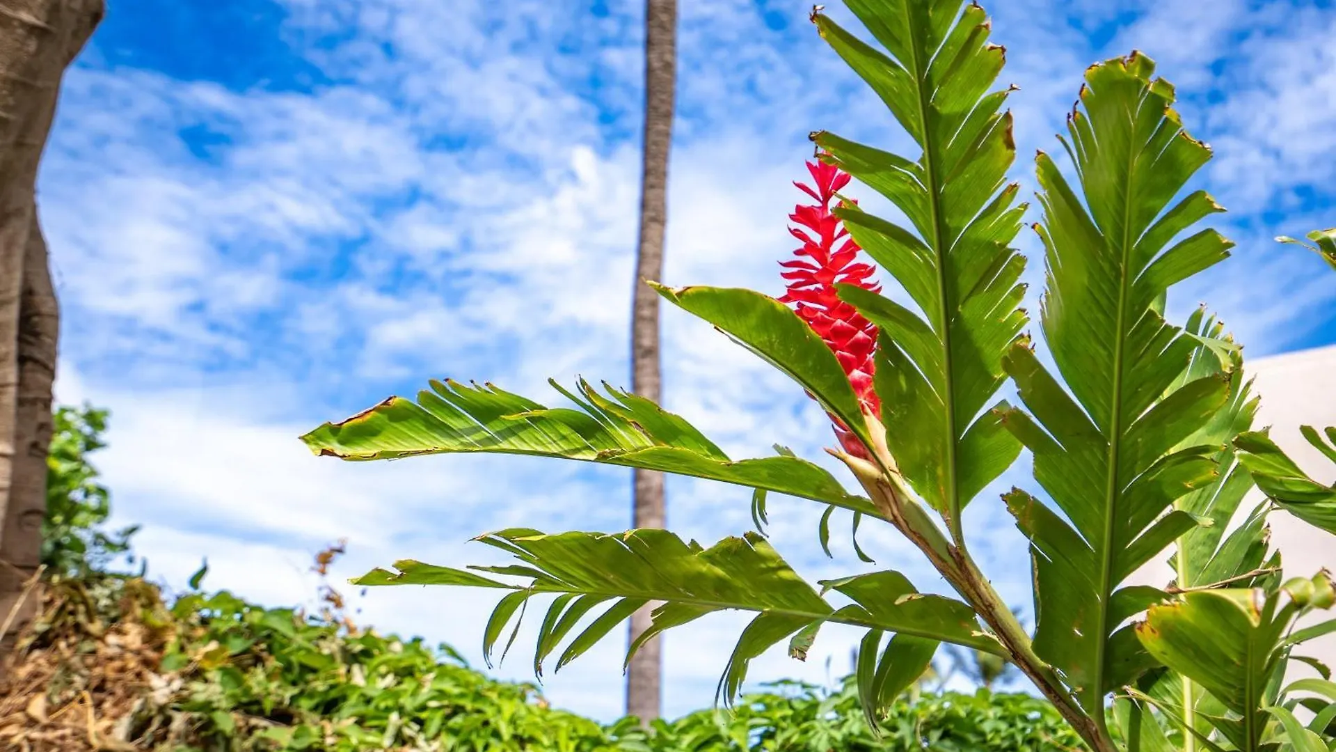 New Oceanfront Penthouse At Maalaea In South Maui Holiday home *