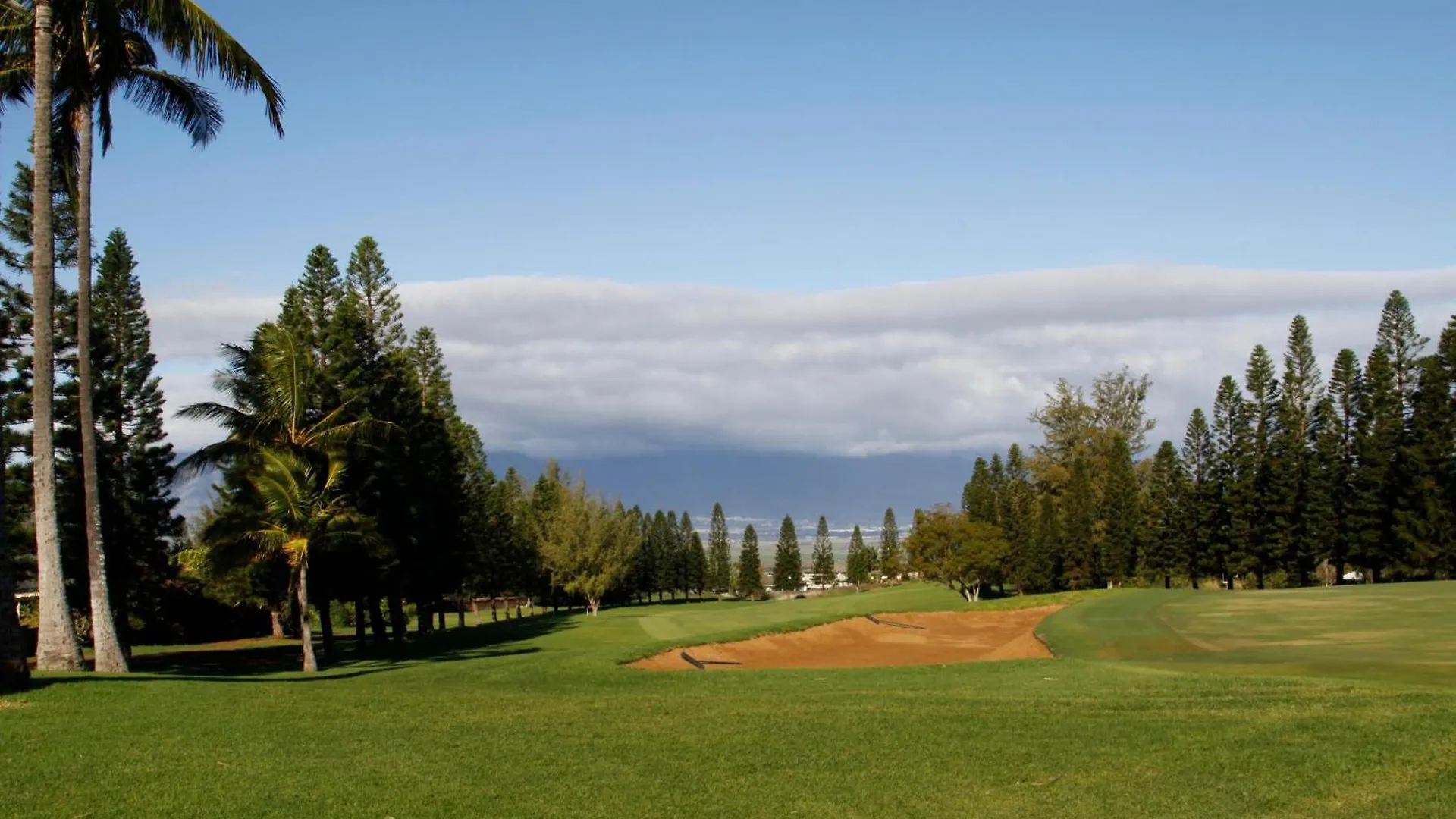 Hale Kamaole 4-334 Wailea (Maui)