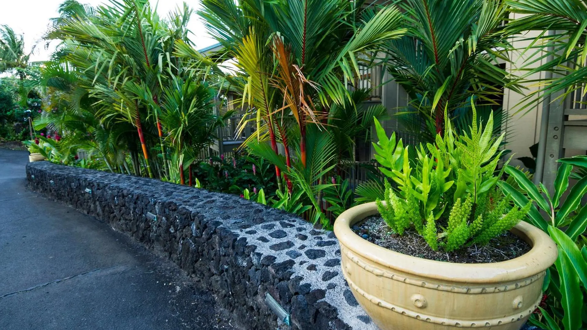 Apartment Kai Maui - #105 Kaihalulu Hana
