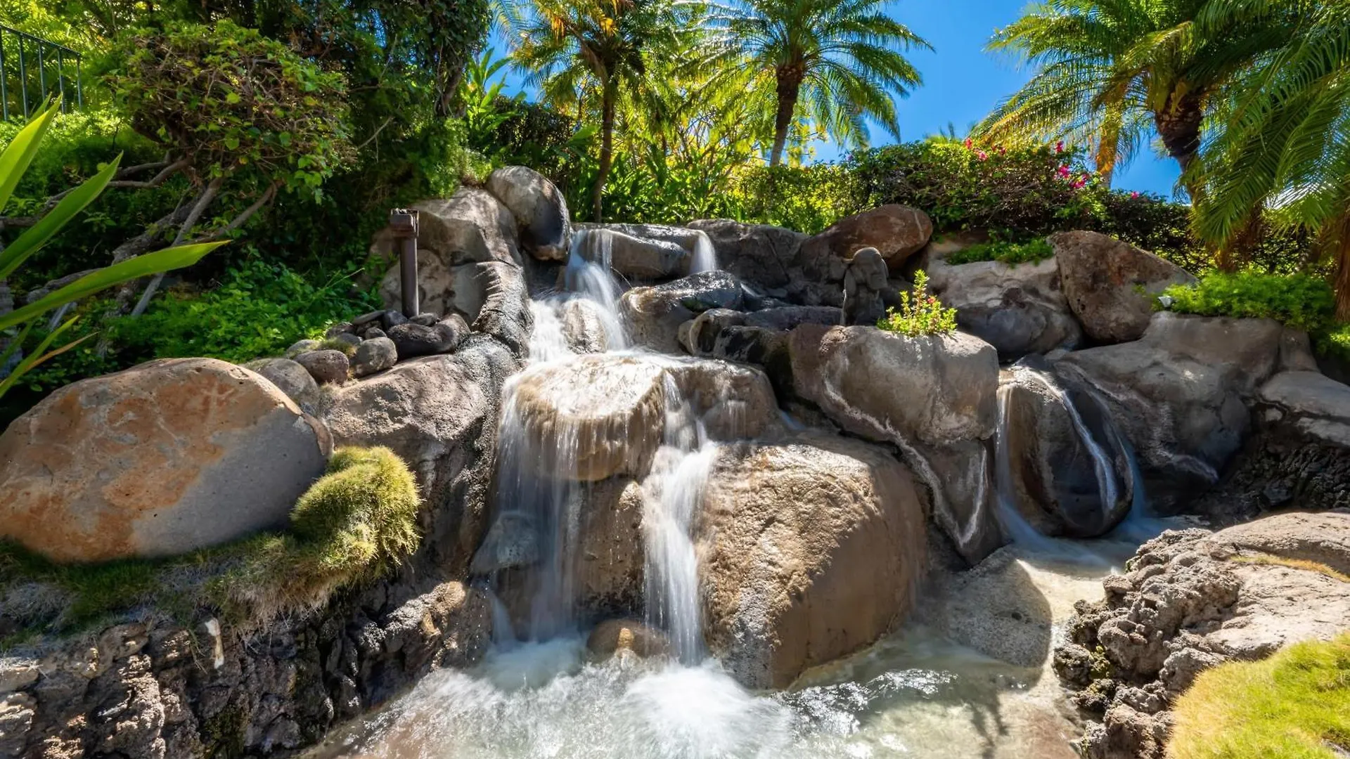 Maui Kamaole I217