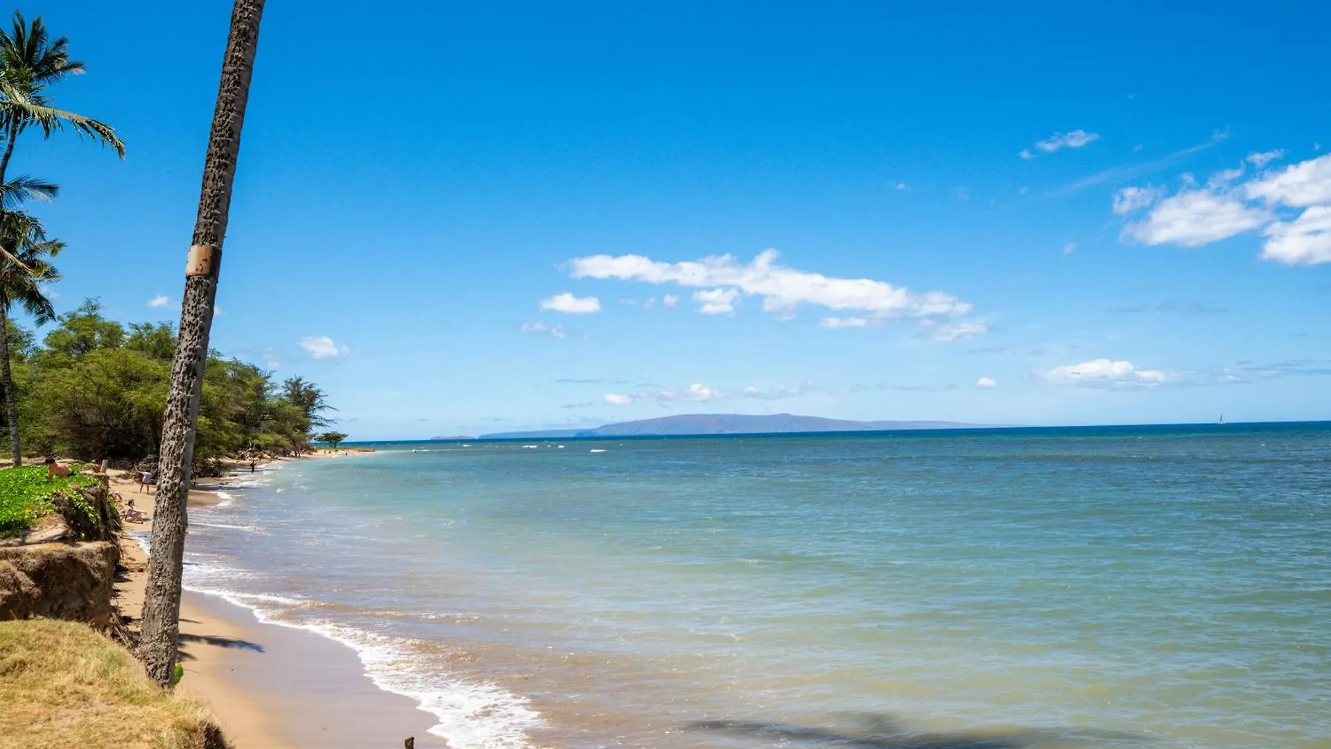 Apartment Romannas Golden Ray Oceanfront In Maui Sunset