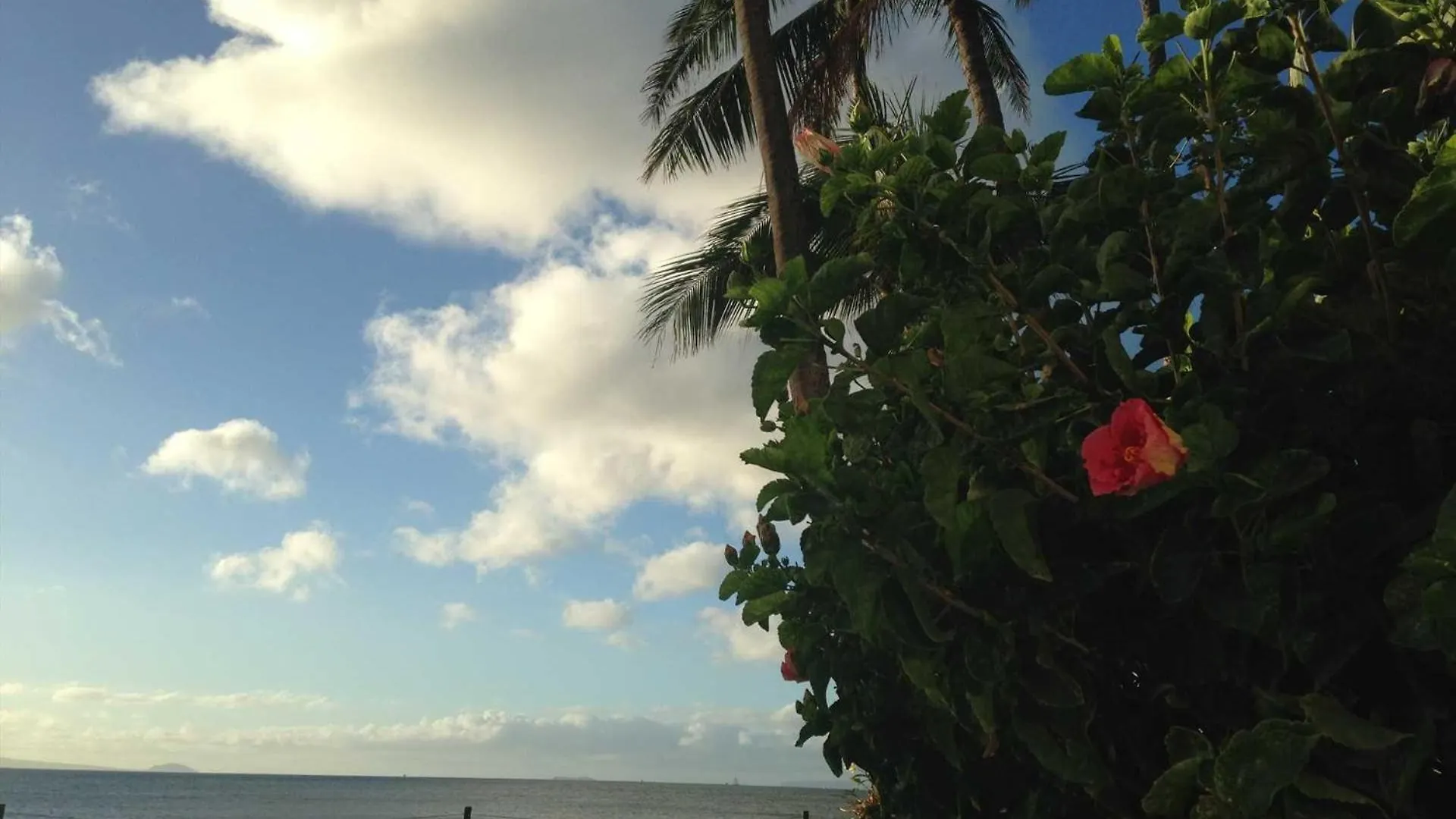 Kanai A Nalu 315 Holiday home Wailuku