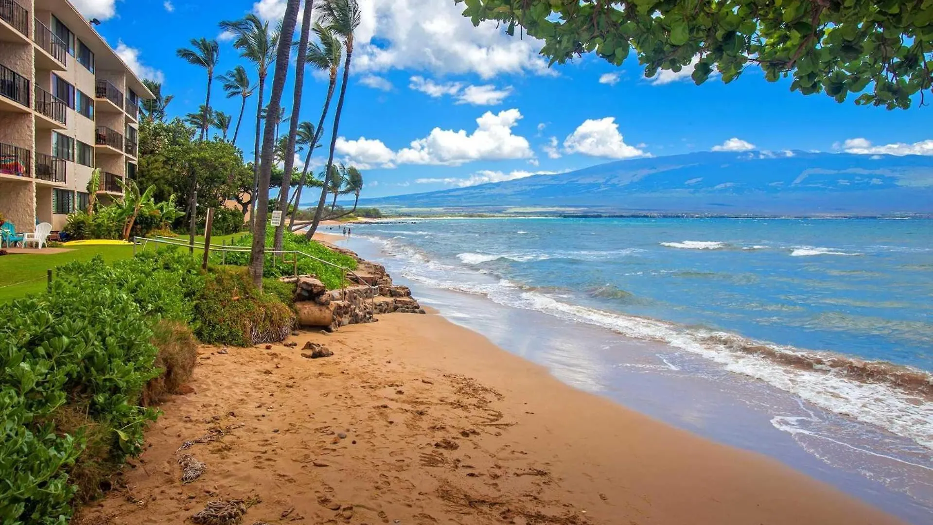 Kanai A Nalu 315 Wailuku