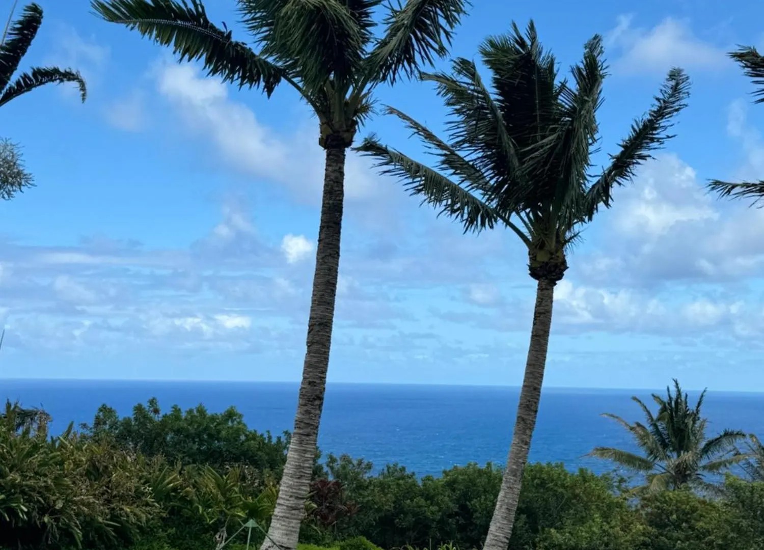 Maui Eco Retreat Huelo