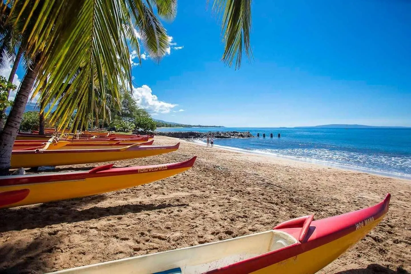 Serene Hawaiian Beachside Bliss