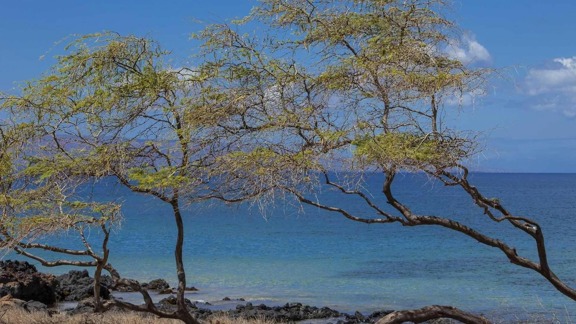 Kihei Akahi - Unit C603 Holiday home *