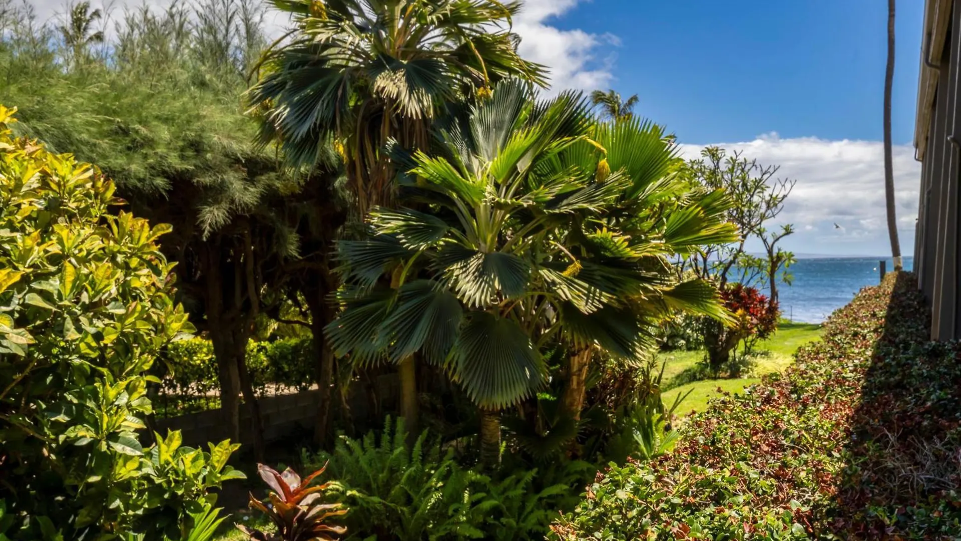 Kai Oceanfront Holiday home Kihei