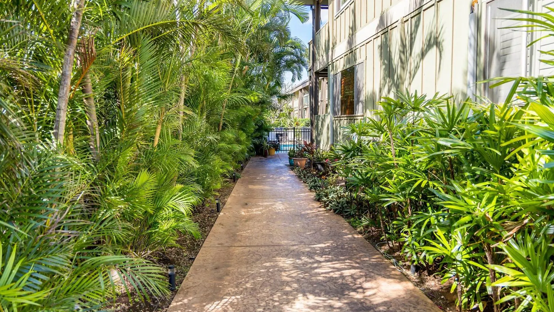 Kai Oceanfront Kihei