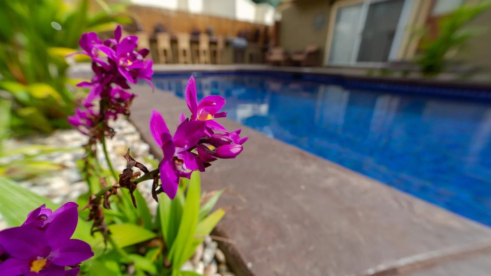 Plumeria Suite, 2-bedroom In A Boutique Property, Sleeps 6 * Kihei