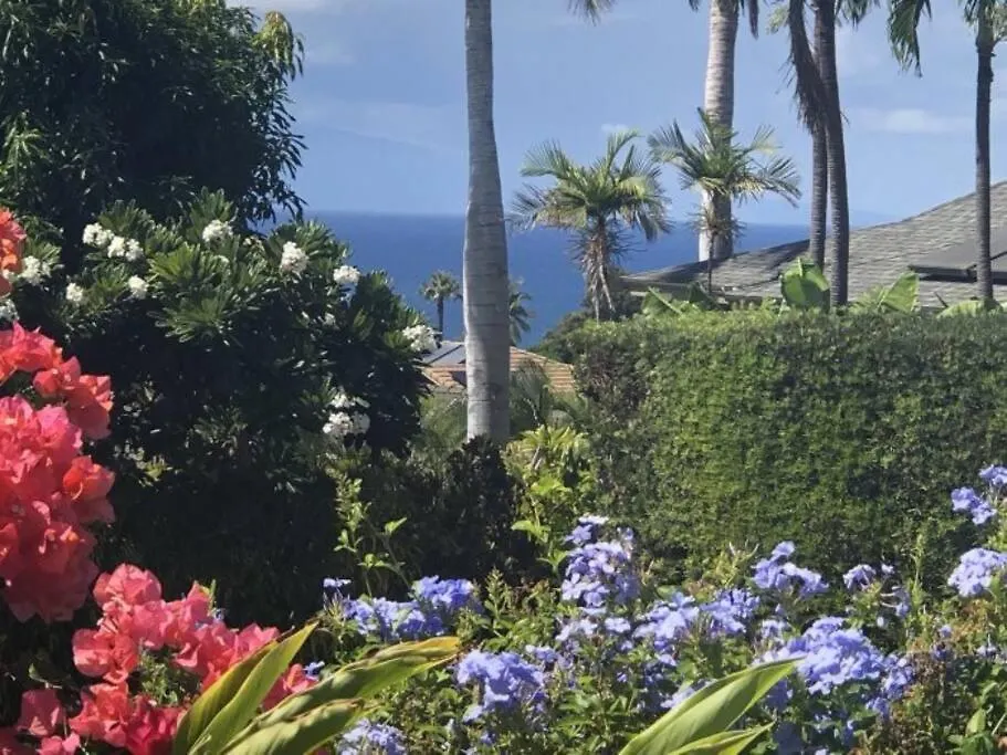 Cloud 9 House - Private Pool, Walk To Wailea (Maui)