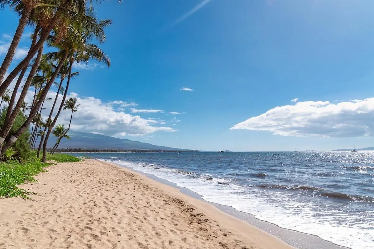 Chic Beachfront Condo— Newly Remodeled — 2024