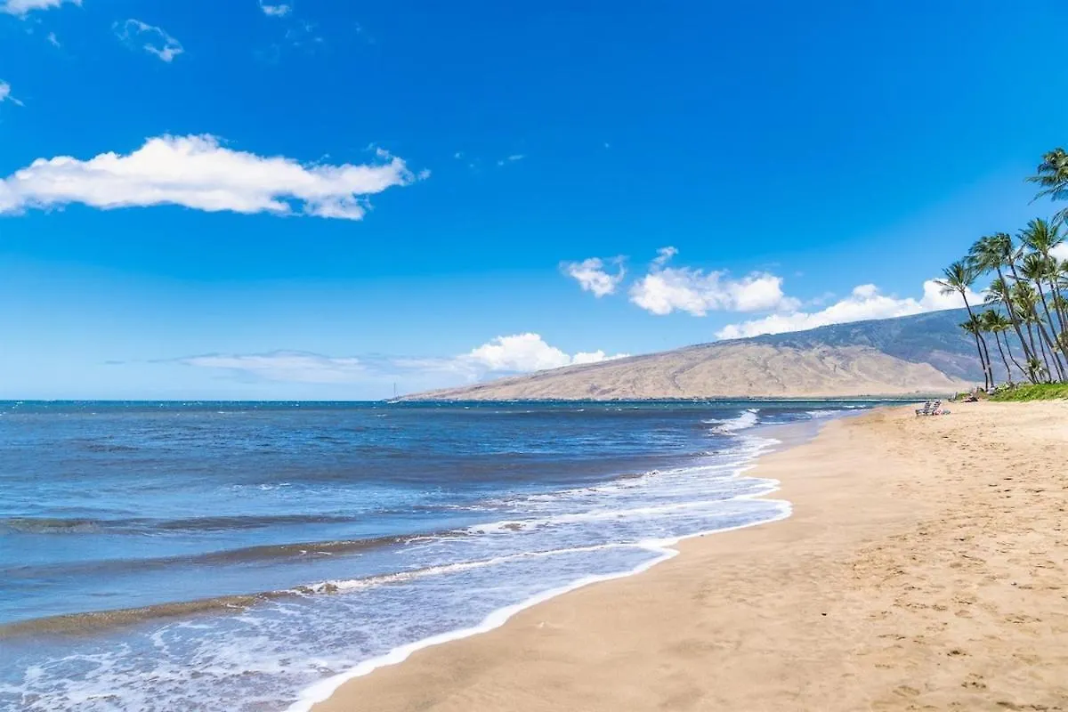 Beachfront Condo—3 Bedrooms—fully Renovated *
