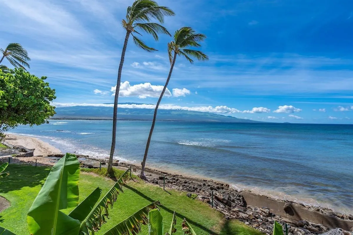 Direct Oceanfront—fully Remodeled—sleeps 6 Holiday home