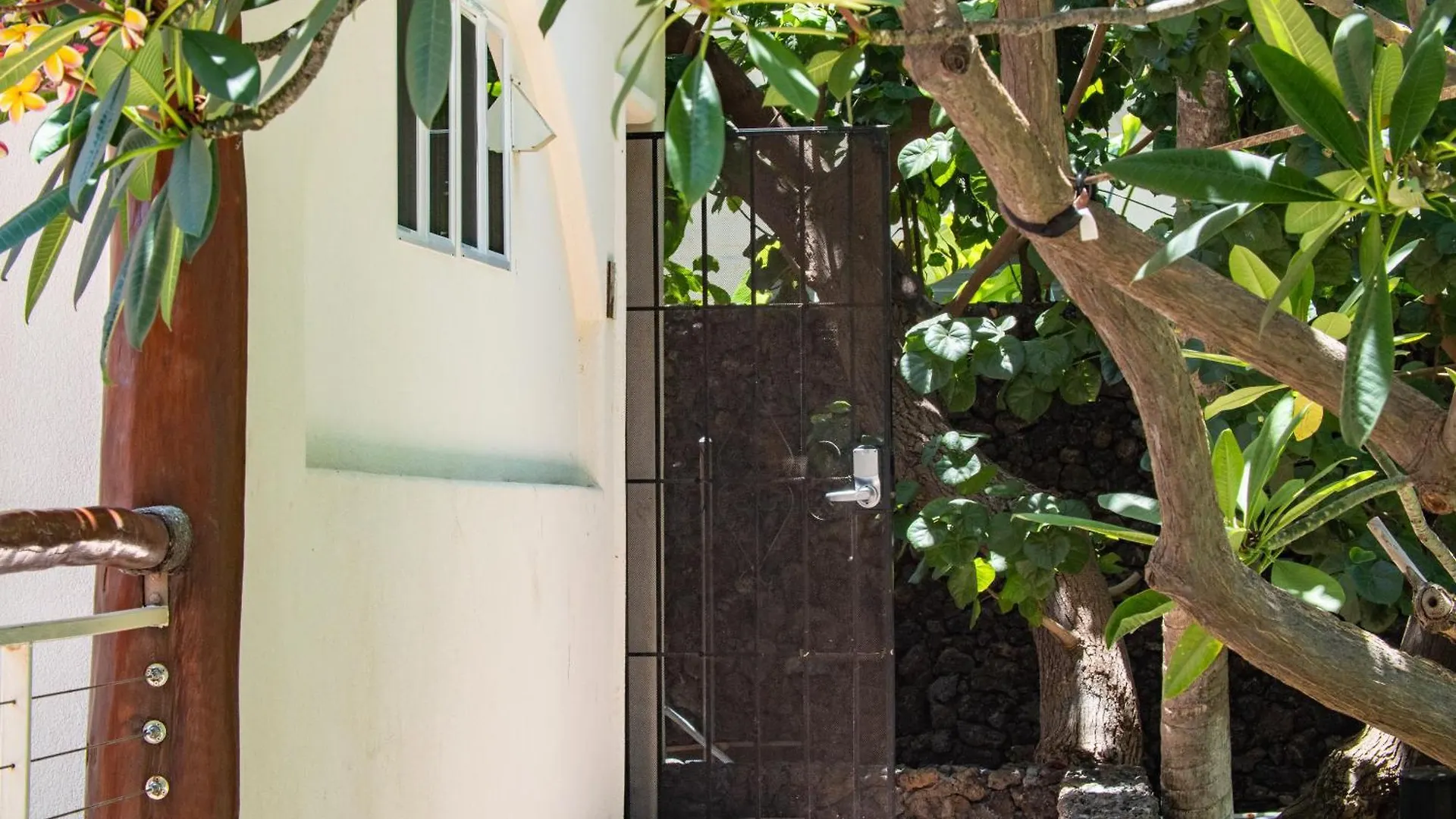 Aloha Aku Ohana - Spacious Garden View Oasis 公寓 *
