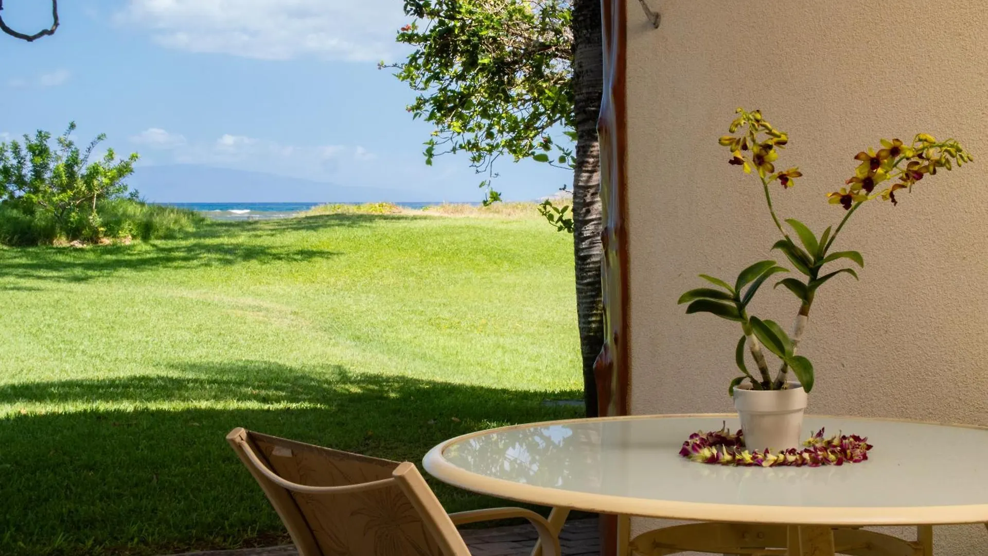 Aloha Aku Cocopalm2 - Your Cozy Beachfront Escape Apartment