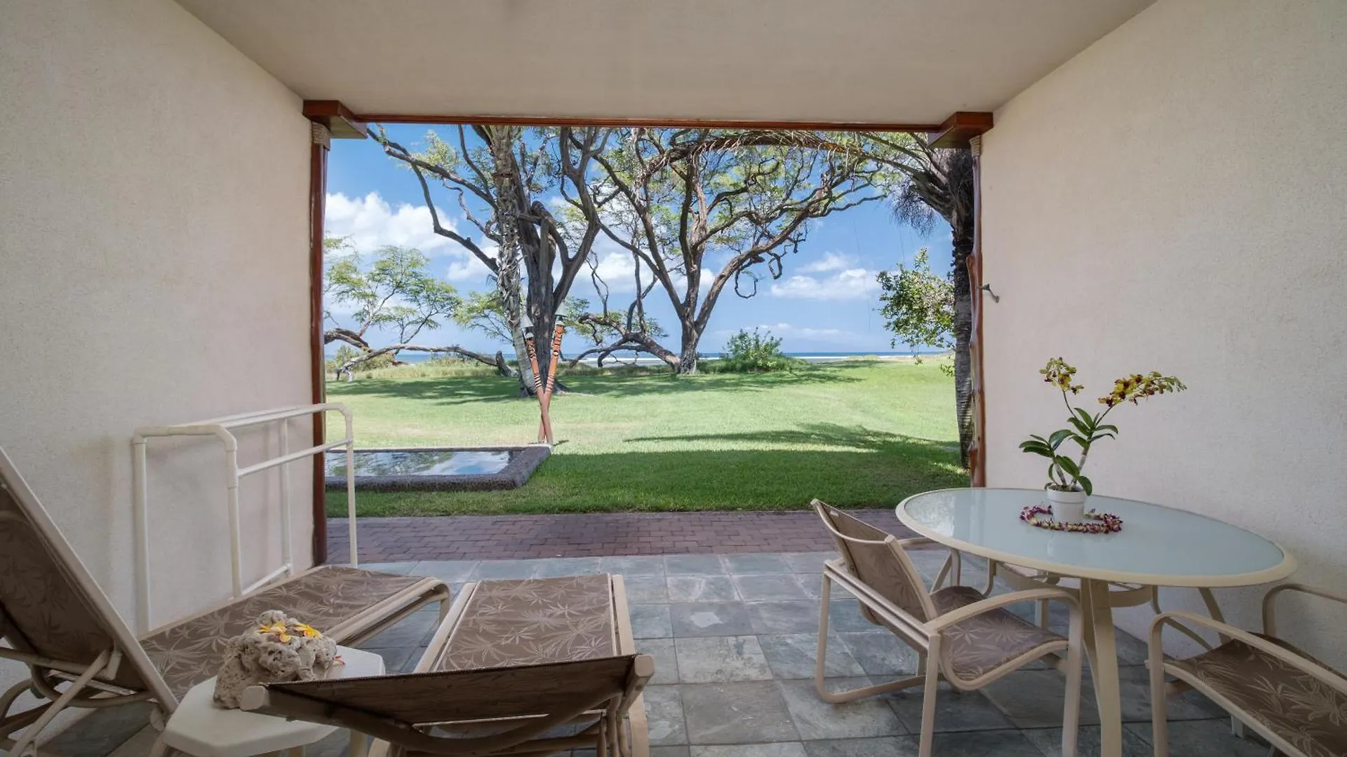Aloha Aku Cocopalm2 - Your Cozy Beachfront Escape Apartment Kihei