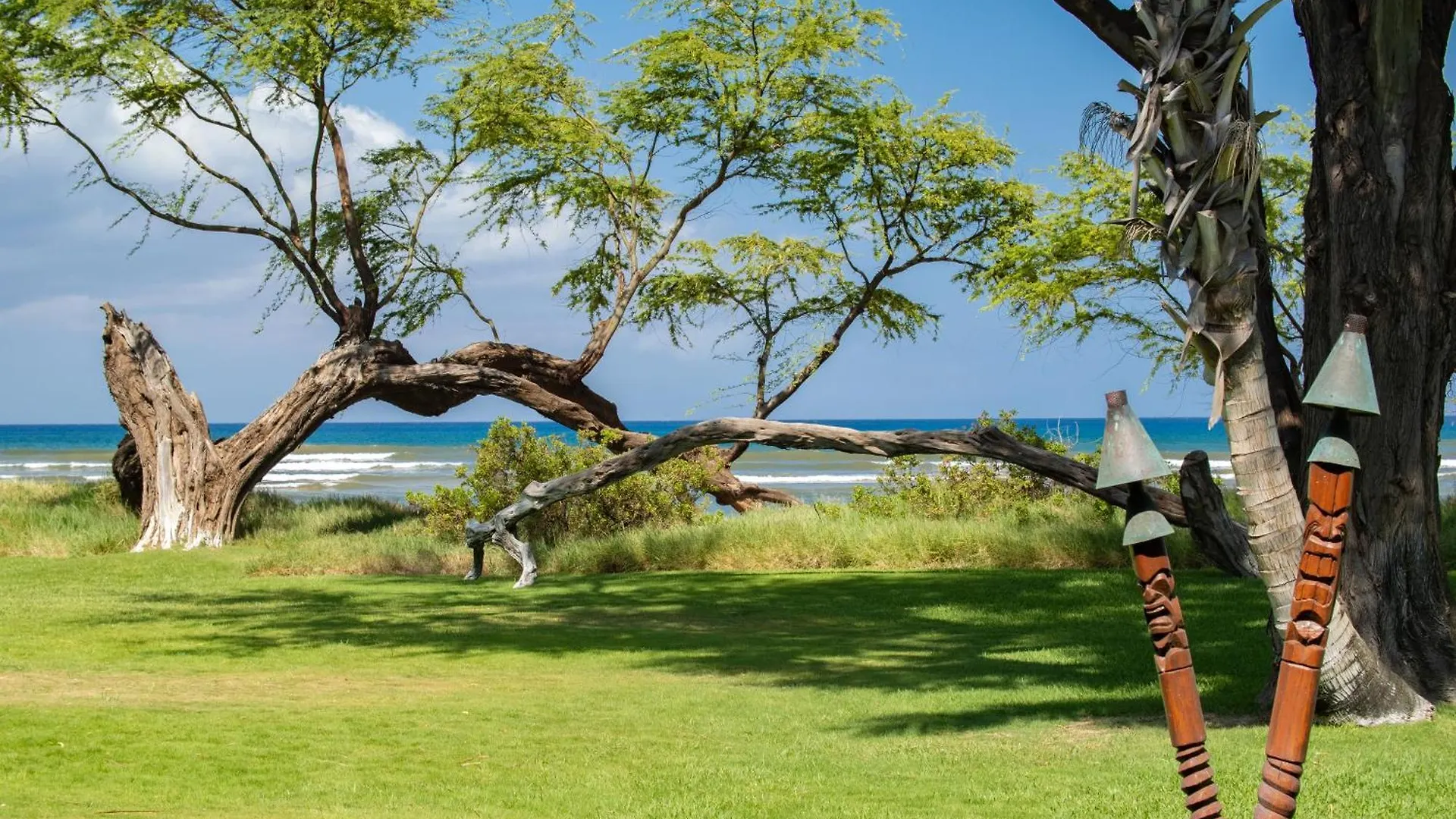 Aloha Aku Cocopalm2 - Your Cozy Beachfront Escape Kihei