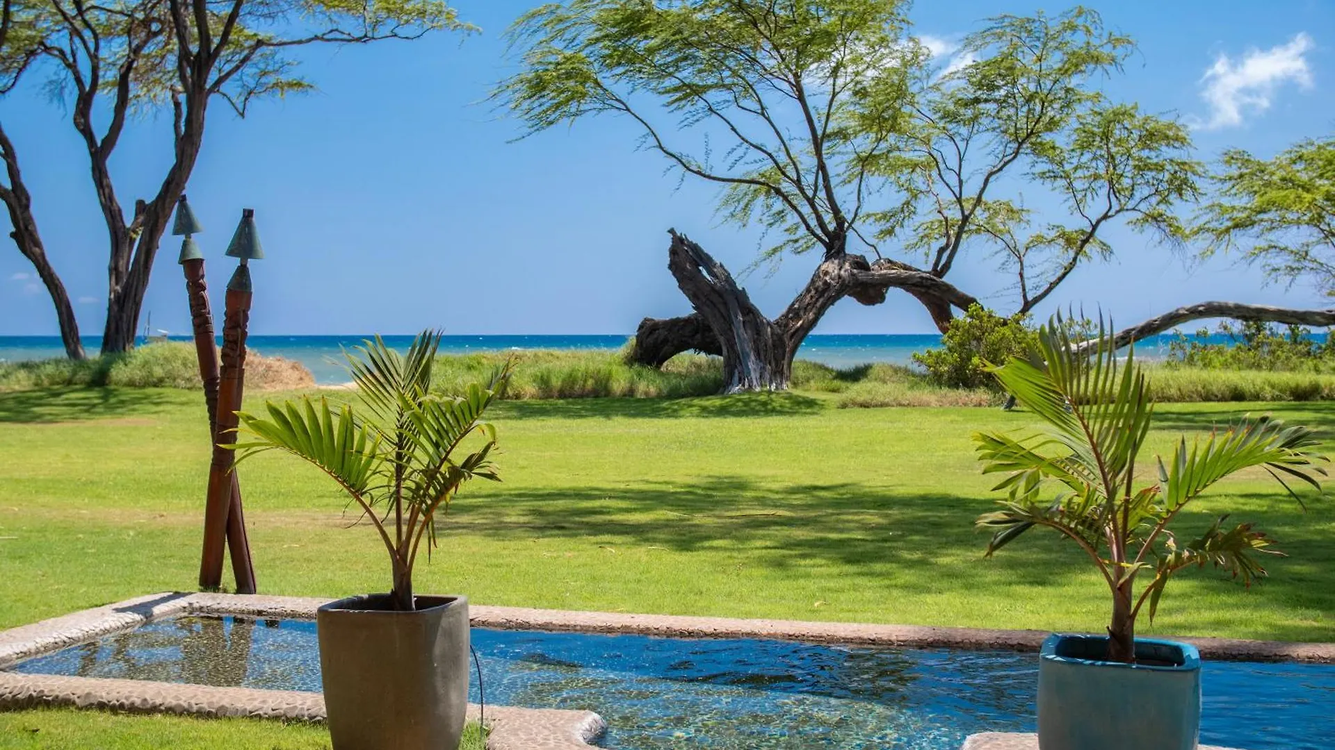 Aloha Aku Cocopalm2 - Your Cozy Beachfront Escape Apartment Kihei