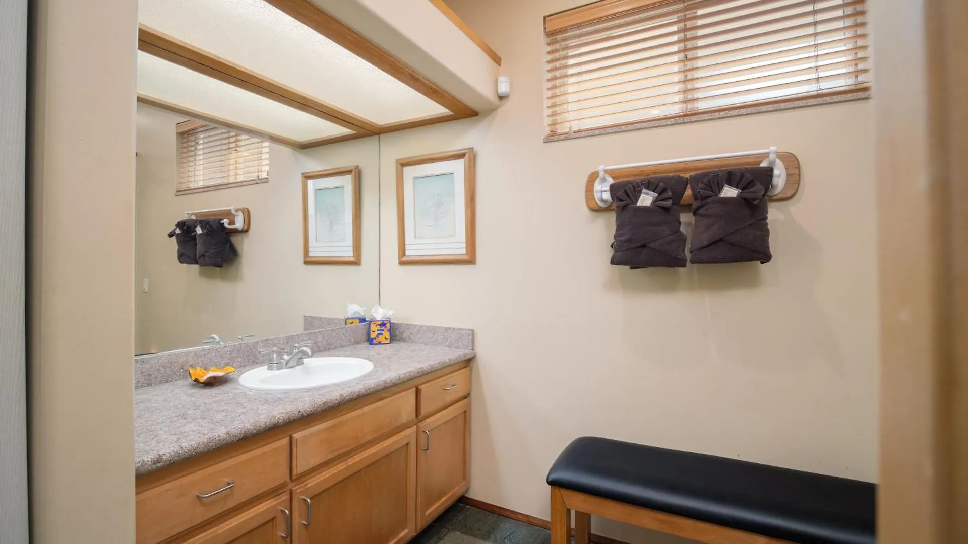 Aloha Aku Cocopalm2 - Your Cozy Beachfront Escape Apartment Kihei