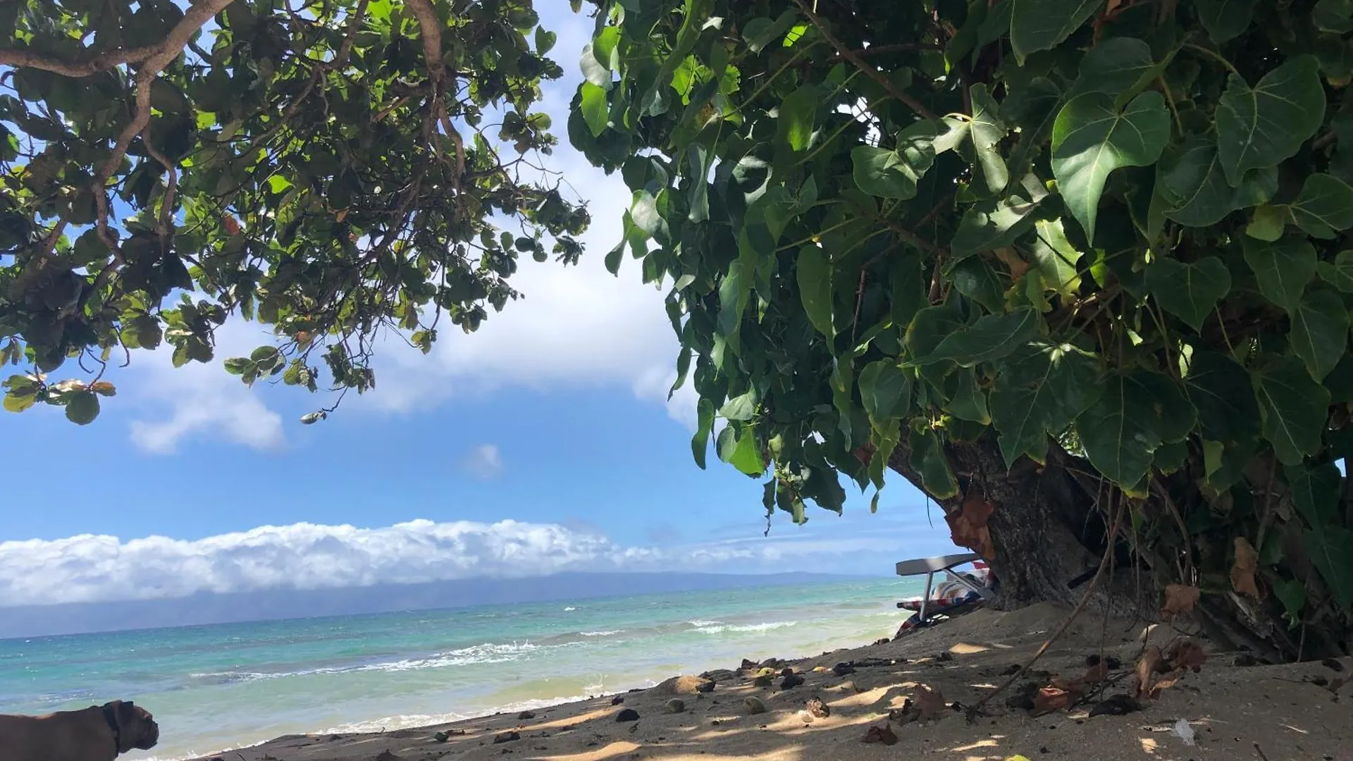 Paki Maui In Paradise - Ocean Side * Kahana