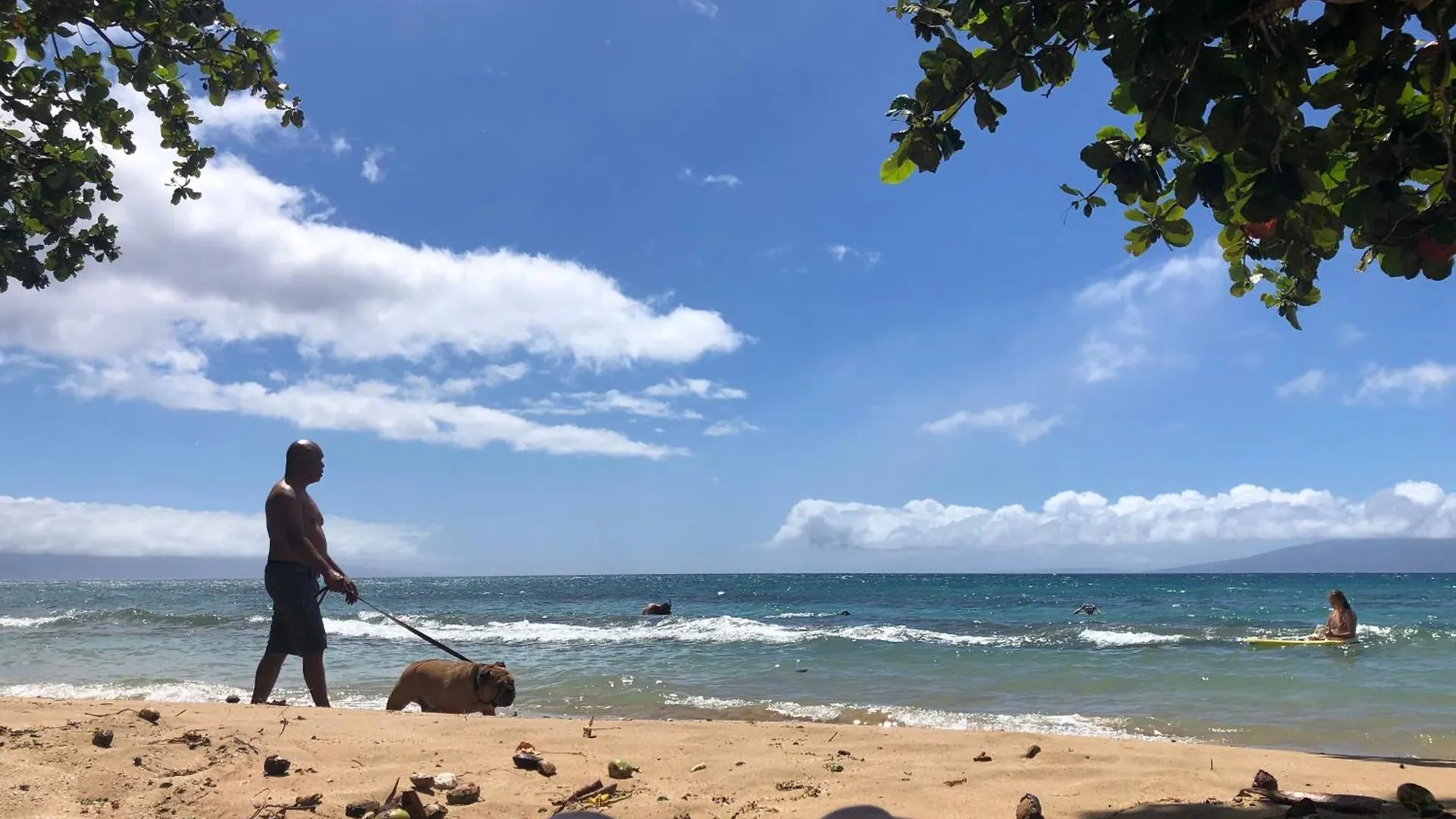 Apartment Paki Maui In Paradise - Ocean Side Kahana
