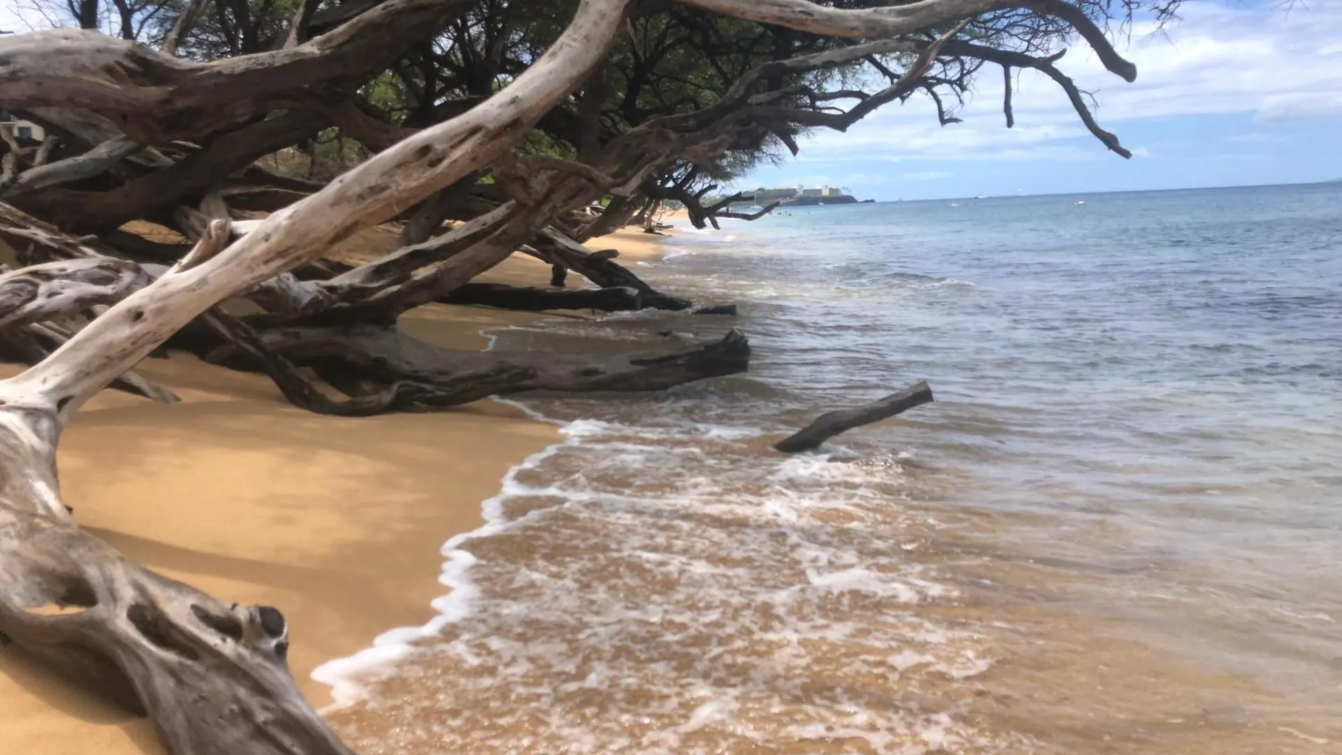 Paki Maui In Paradise - Ocean Side * Kahana