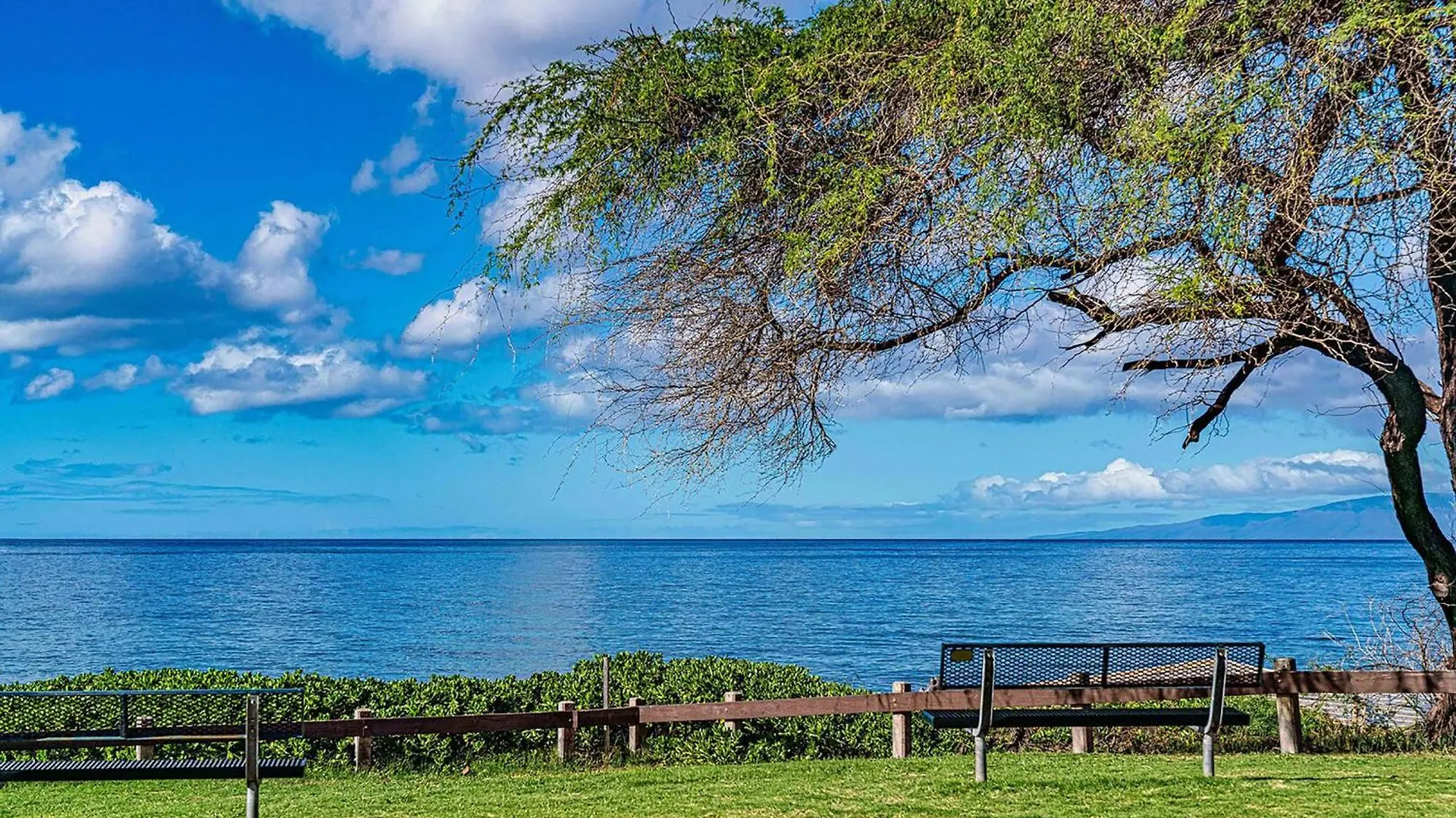 Kamaole Sands 4-412, Ocean Views, Renovation, Ac! Holiday home *