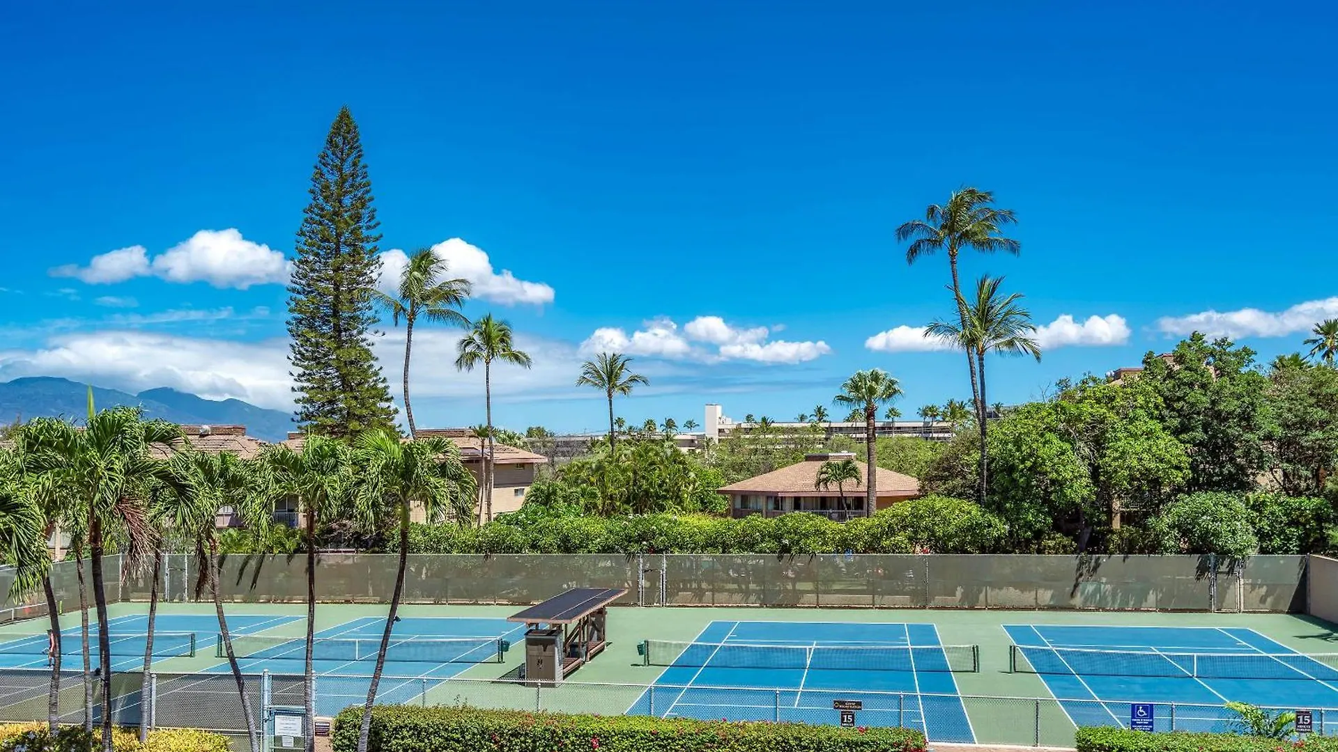 Kamaole Sands 4-412, Ocean Views, Renovation, Ac! Wailea (Maui)