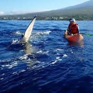 Aloha Glamp's Maui Rooftop Adventure Luxury tent