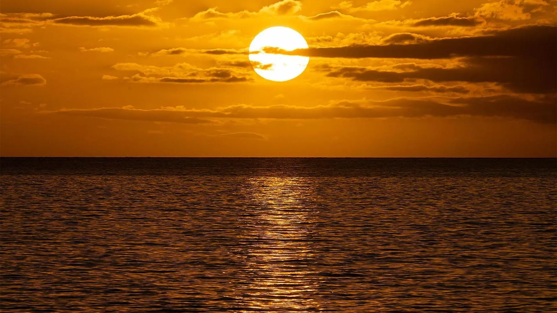 Holiday home Kamaole Nalu 305, Breathtaking Ocean Views, Ac