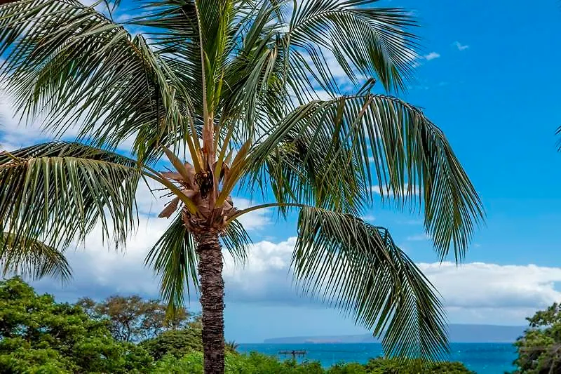 Aparthotel Maui Vista By Maui And
