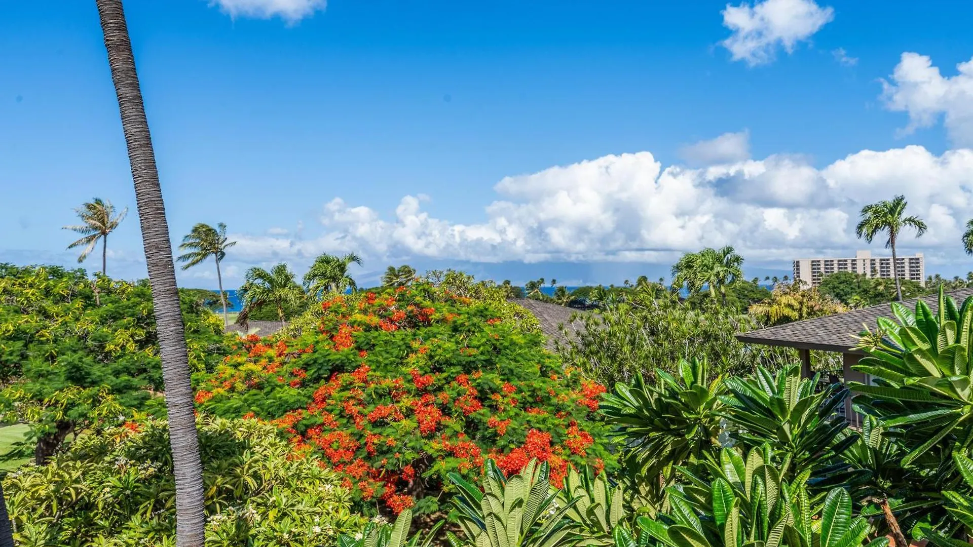 Holiday home Eldorado E204 Kaanapali