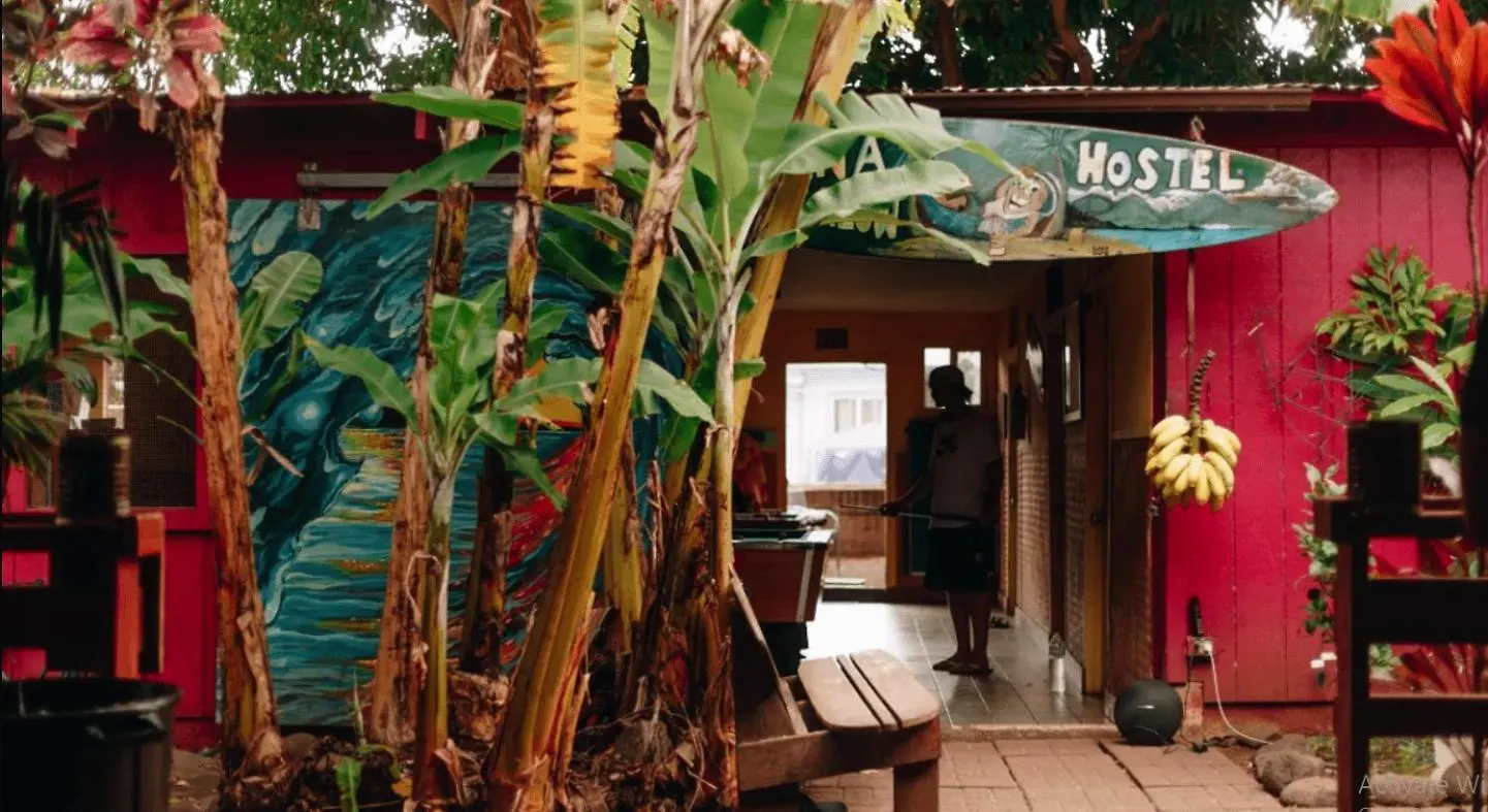 Banana Maui * Wailuku