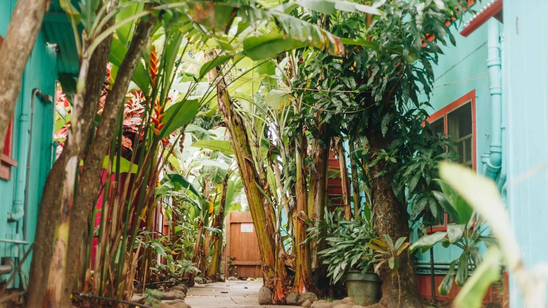 Hostel Banana Maui *