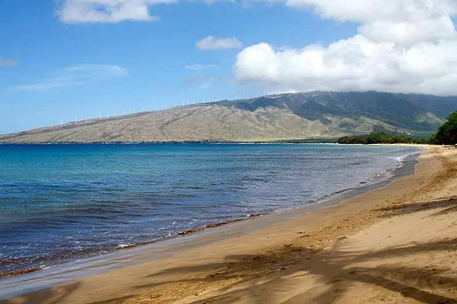 Tatil Evi Kealia 101 Kihei