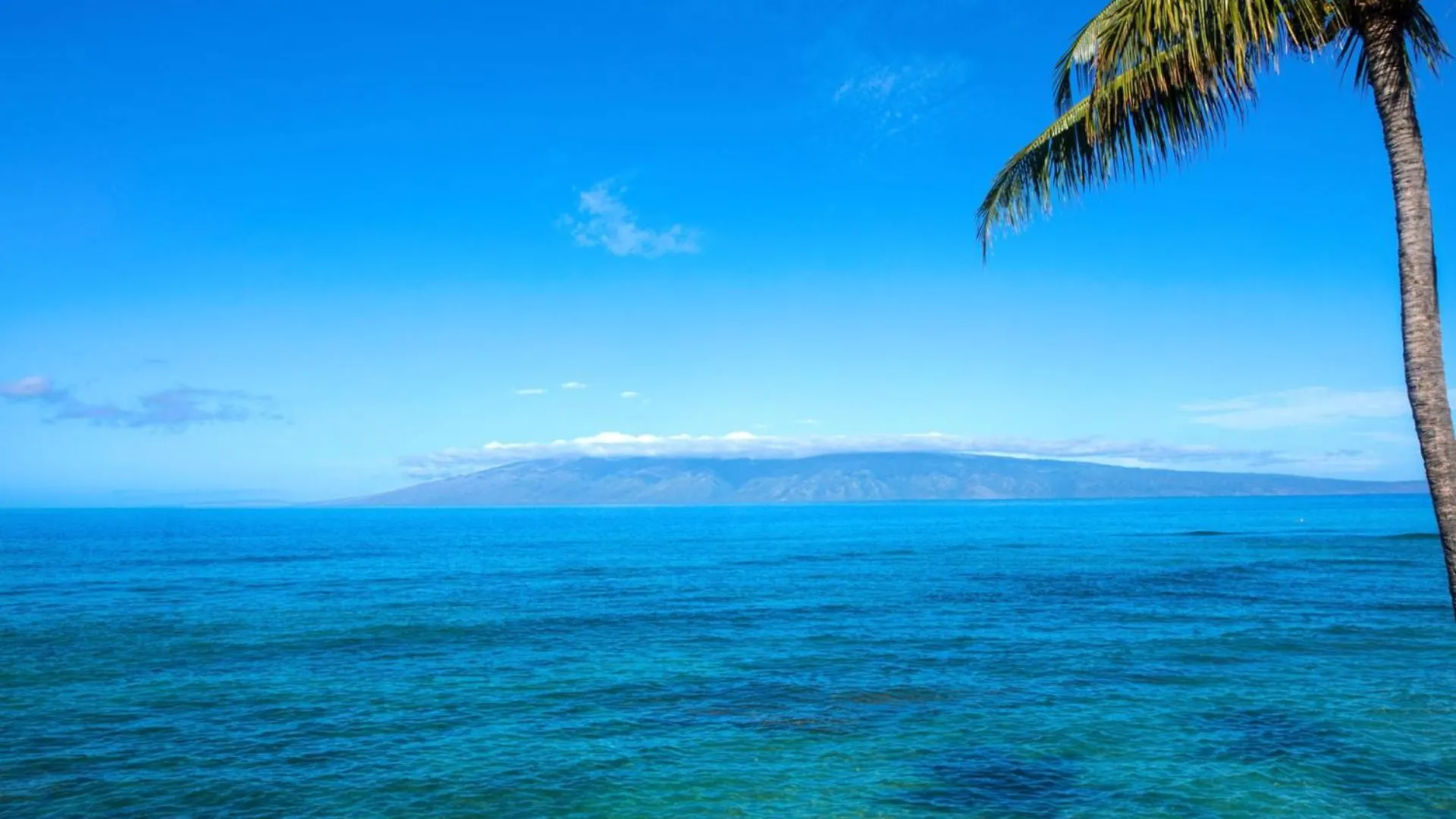 Kbm Free Car Lokelani Lok-b201 Ocean Front 2 Bedrooms Recently Remodeled * Napili-Honokowai