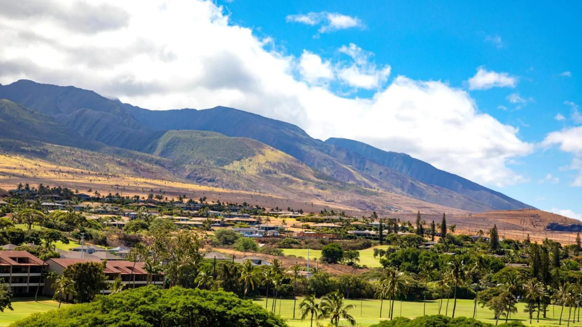 Kbm Free Car The Whaler Wh1-723 Beachfront With Spectacular Views Apartment Kaanapali