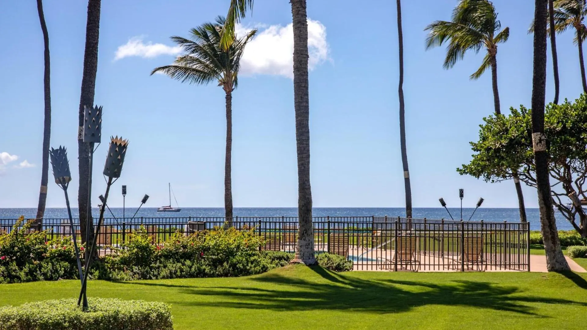 Kbm Free Car Msr-f2 Stunning Ocean Front Prime Location Turtle Views Kihei
