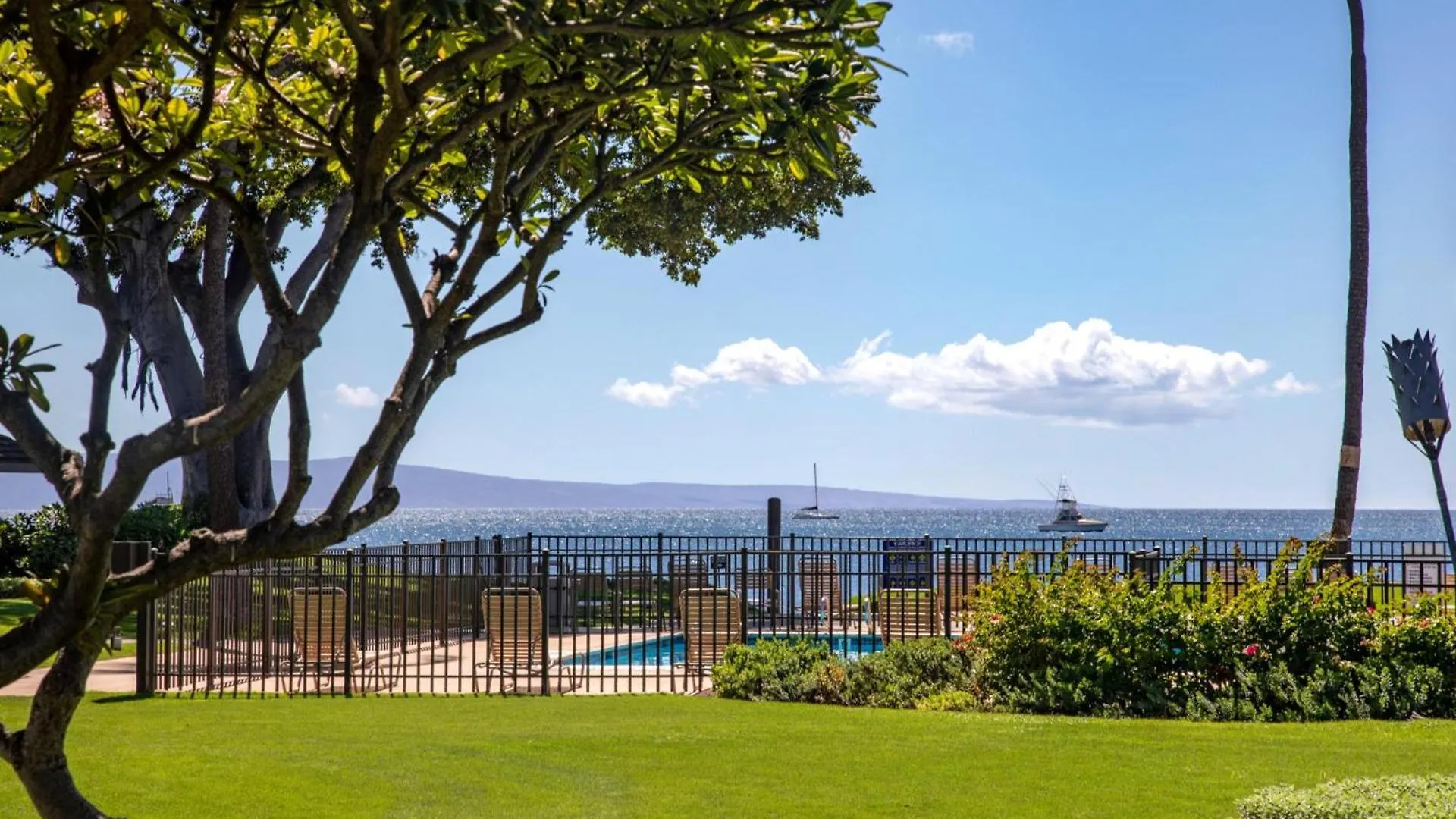 Kbm Free Car Msr-f2 Stunning Ocean Front Prime Location Turtle Views Apartment