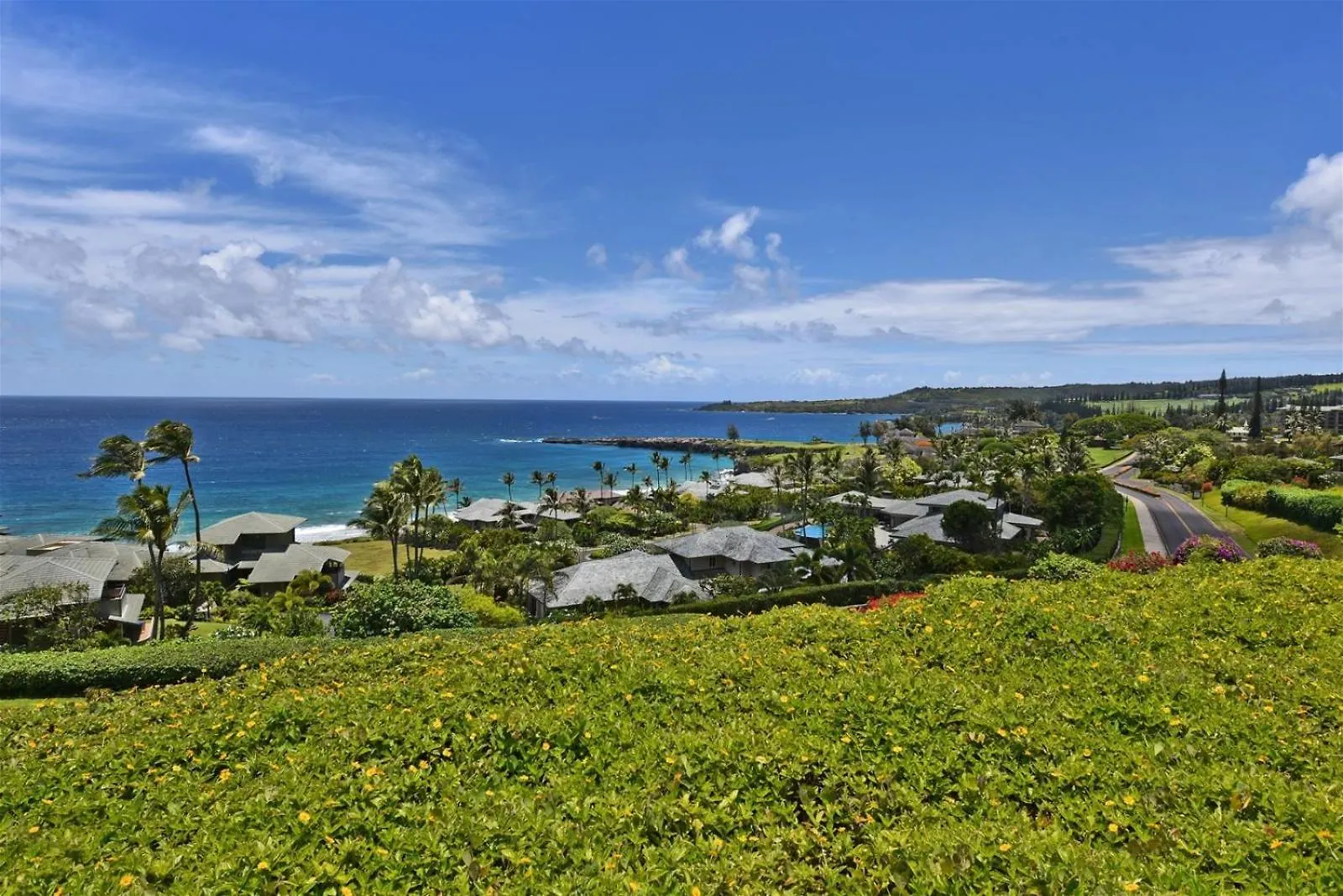 2412 Kapalua Ridge Apartment Kahana