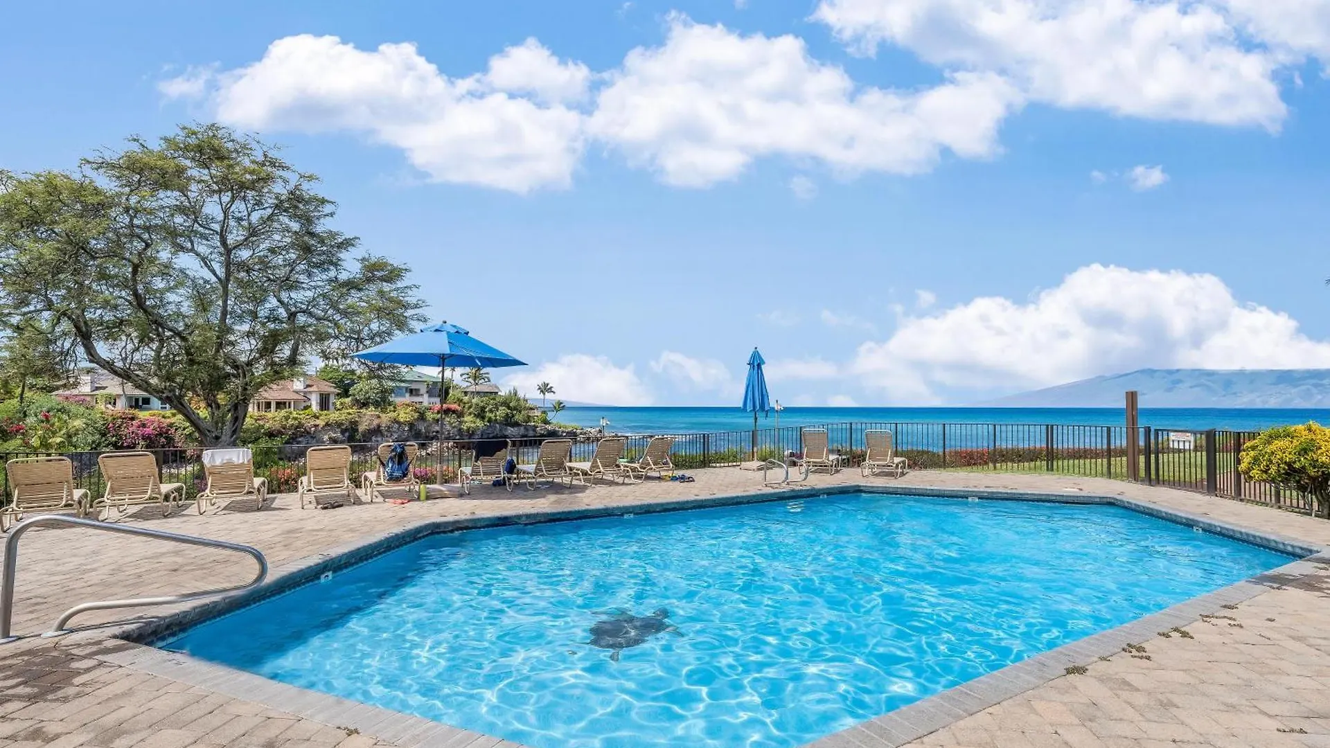 Napili Point C40
