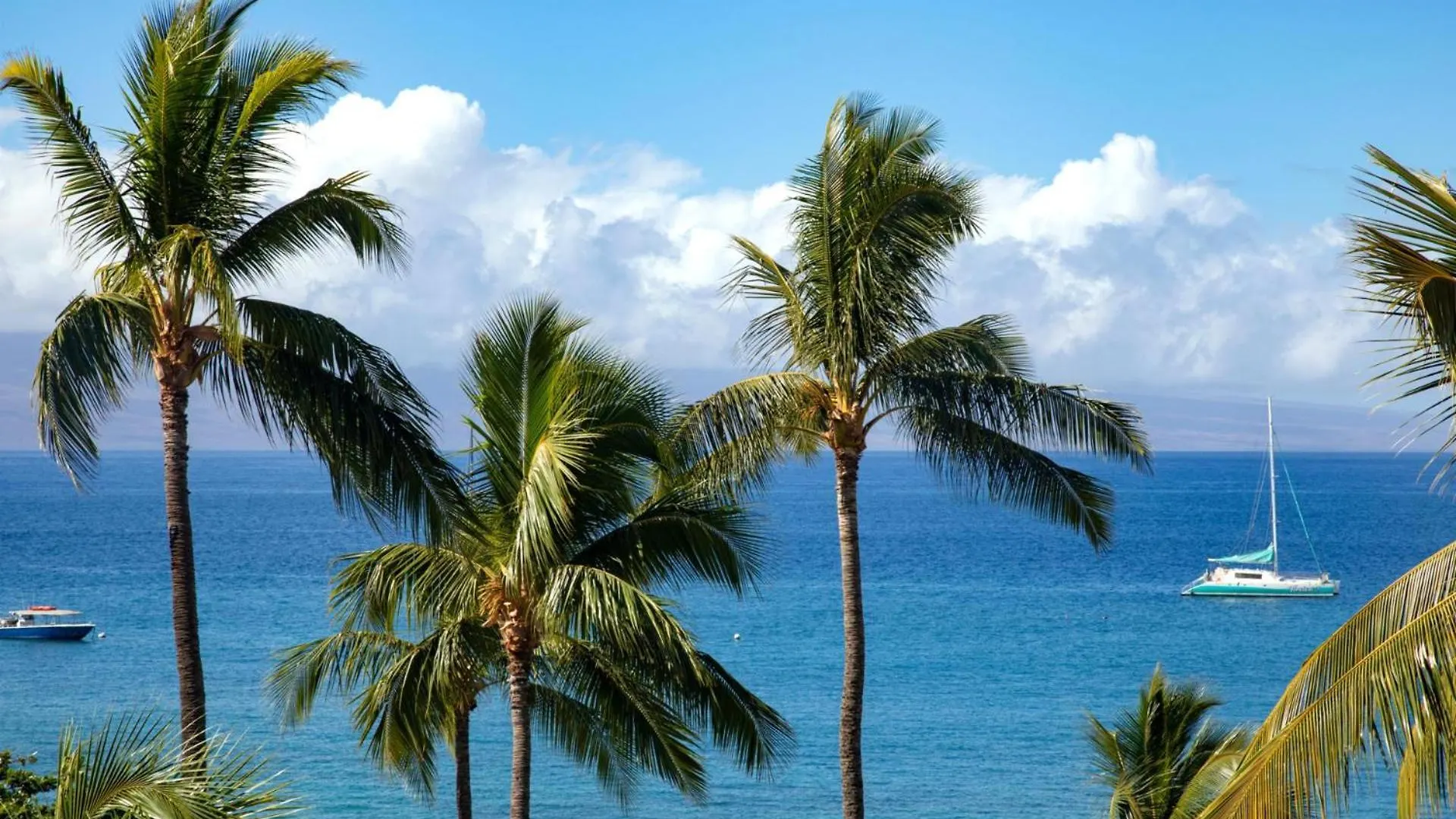 Kbm Free Car The Whaler Wh2-661 Sweeping Ocean Views Newly Furnished 2023 * Kaanapali