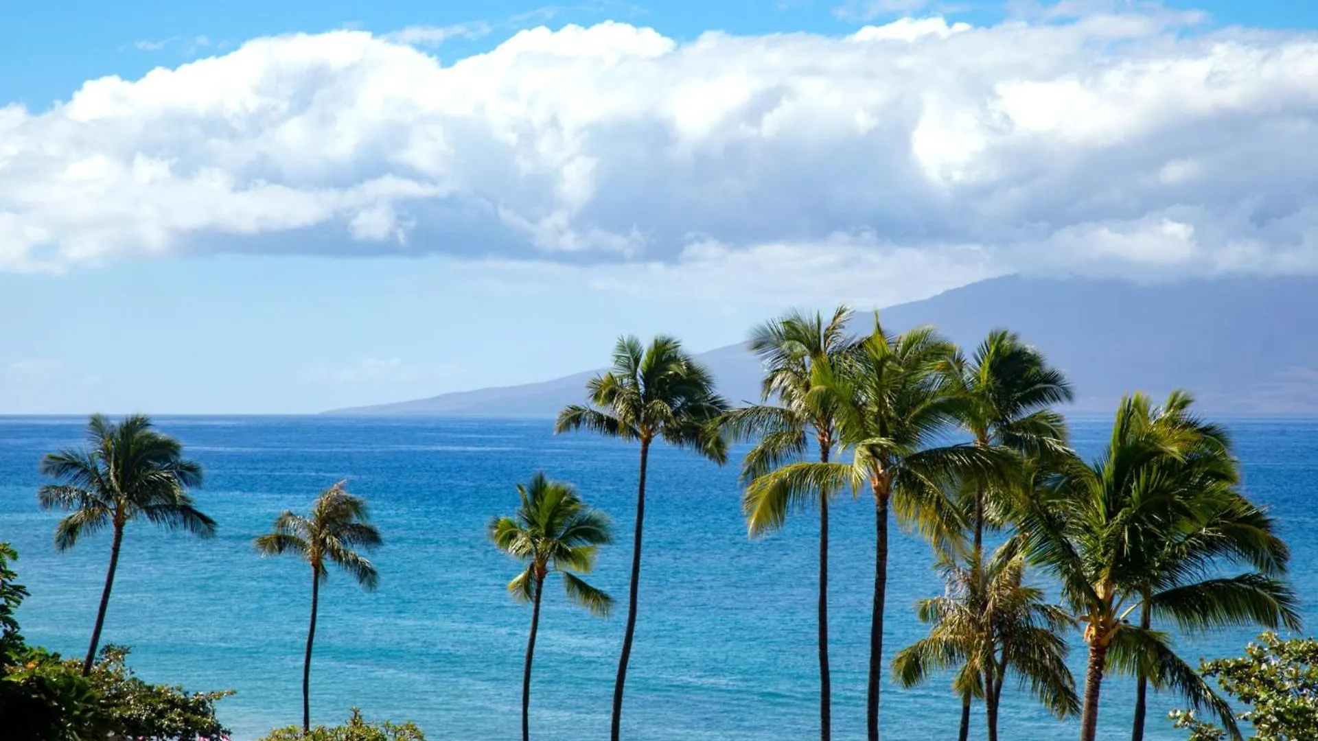 Kbm Free Car The Whaler Wh2-661 Sweeping Ocean Views Newly Furnished 2023 * Kaanapali