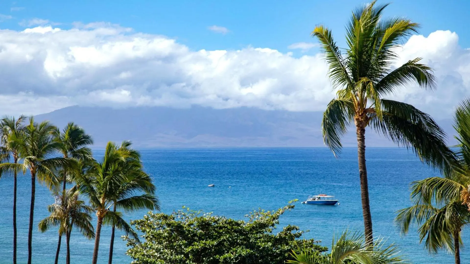 Kbm Free Car The Whaler Wh2-661 Sweeping Ocean Views Newly Furnished 2023 Apartment Kaanapali
