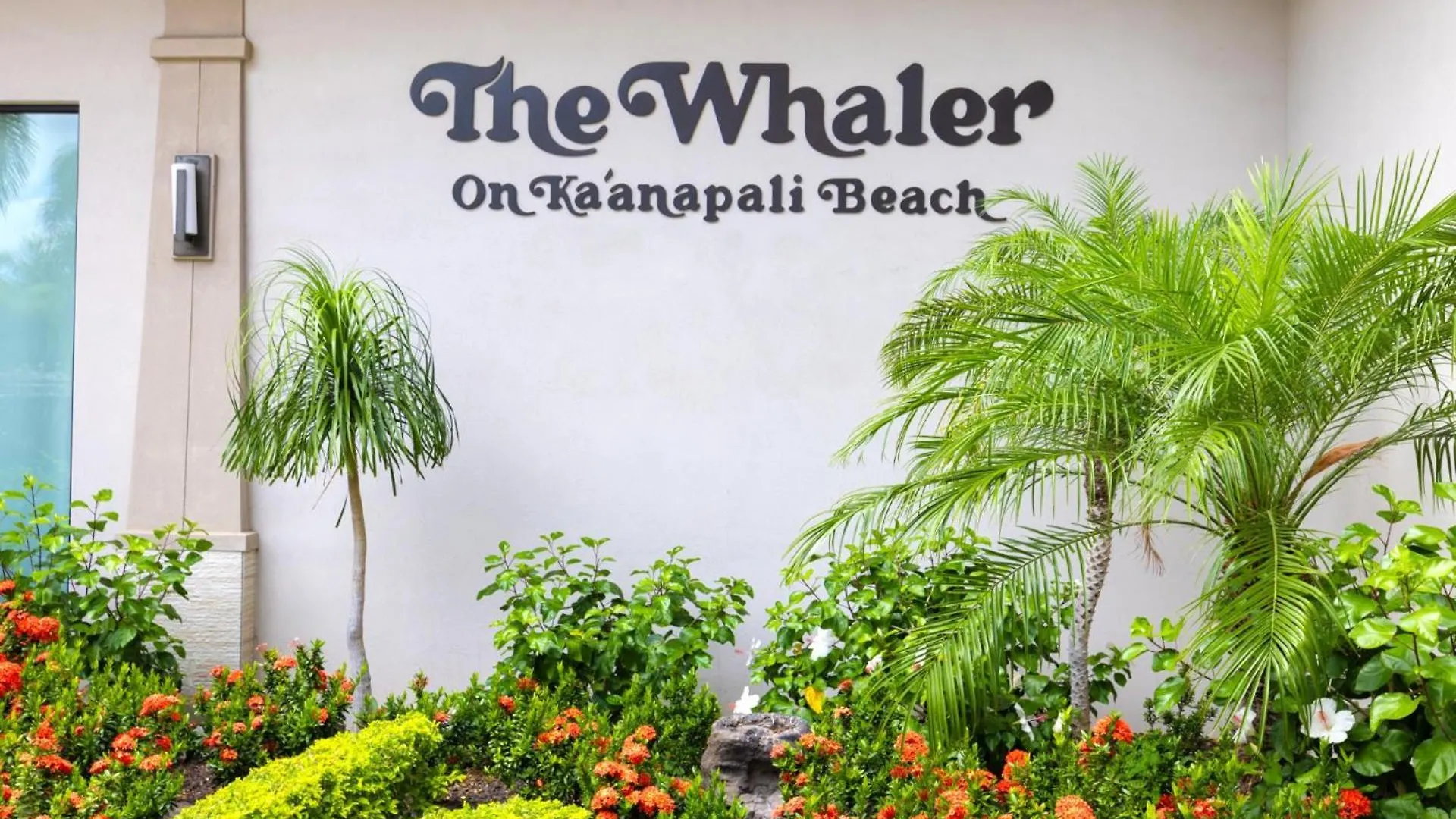Apartment Kbm Free Car The Whaler Wh2-661 Sweeping Ocean Views Newly Furnished 2023 *
